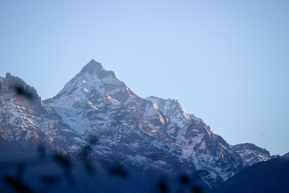 a snow covered mountain is seen through the branches of a tree