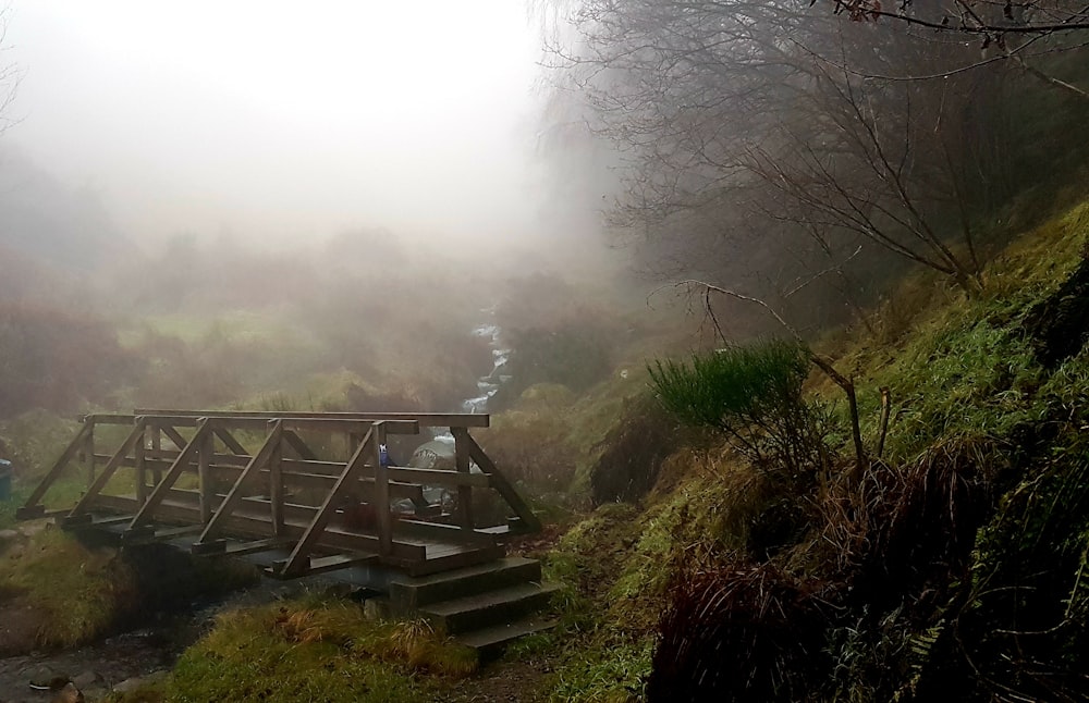 a wooden bridge over a small stream in a foggy forest