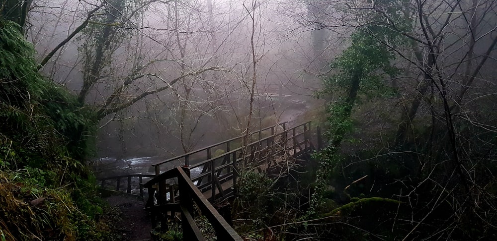 a wooden bridge in the middle of a forest