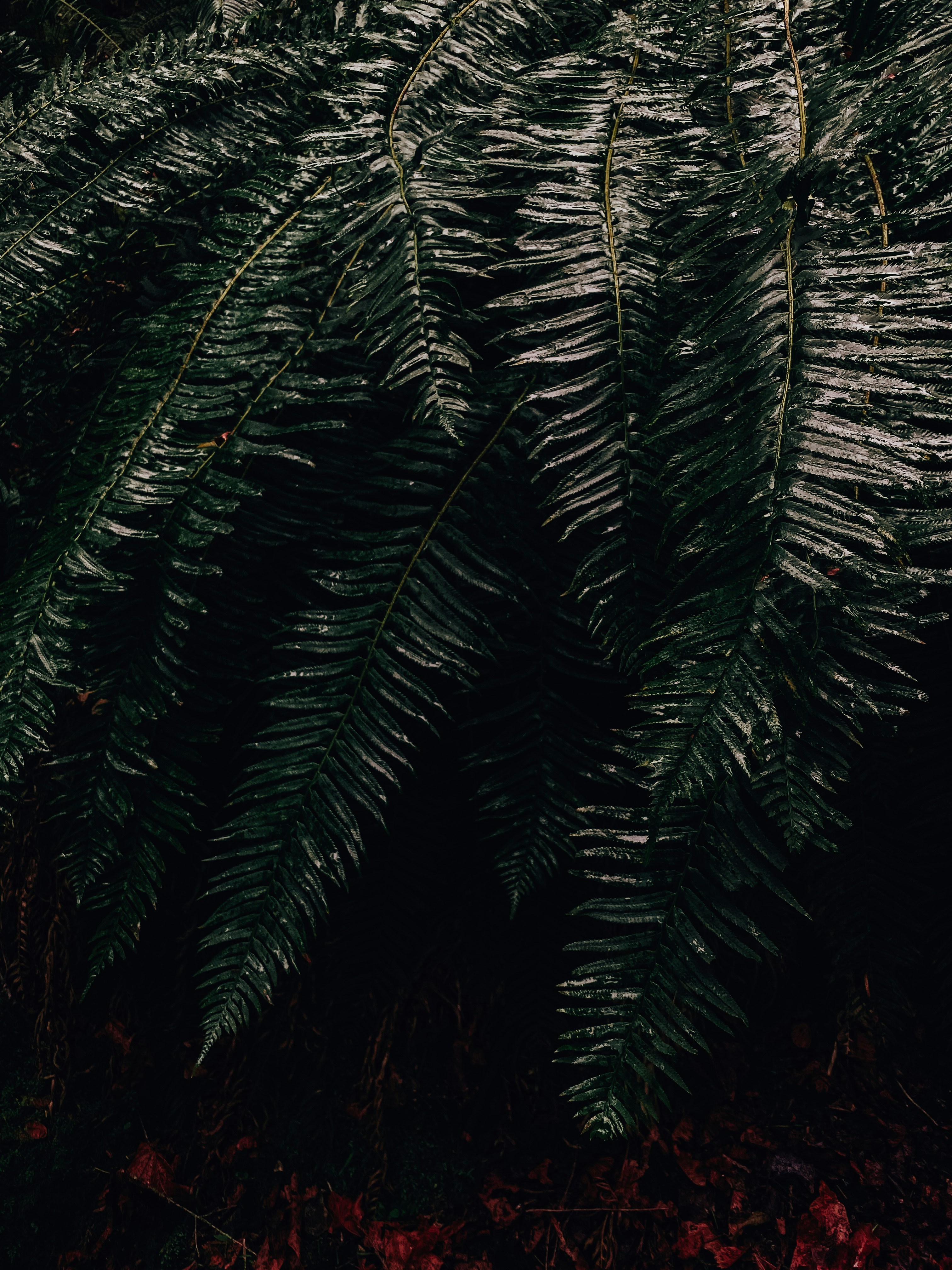 Photo by caroline_ross