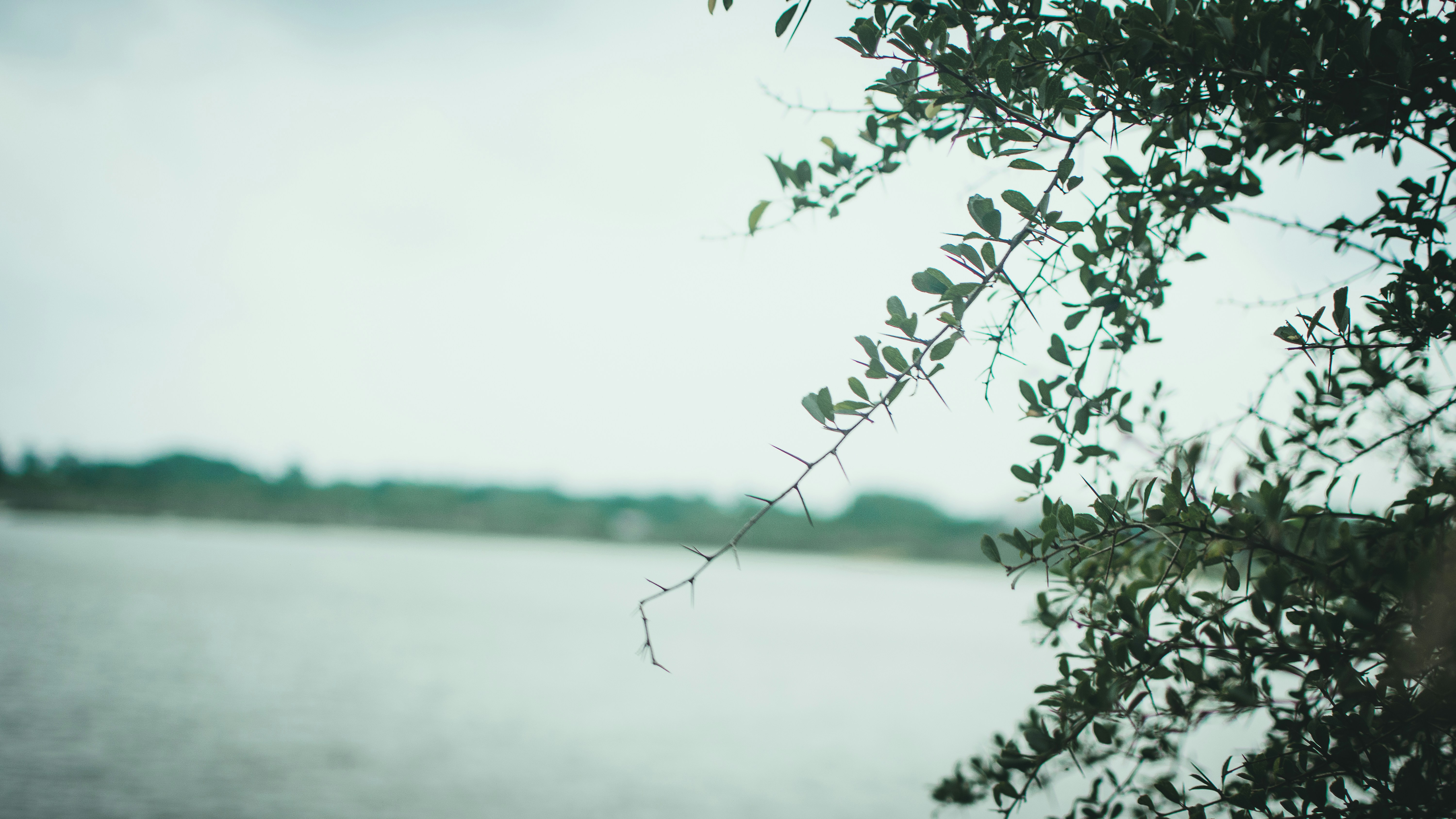 Photo by in_a_dustyblackcoat