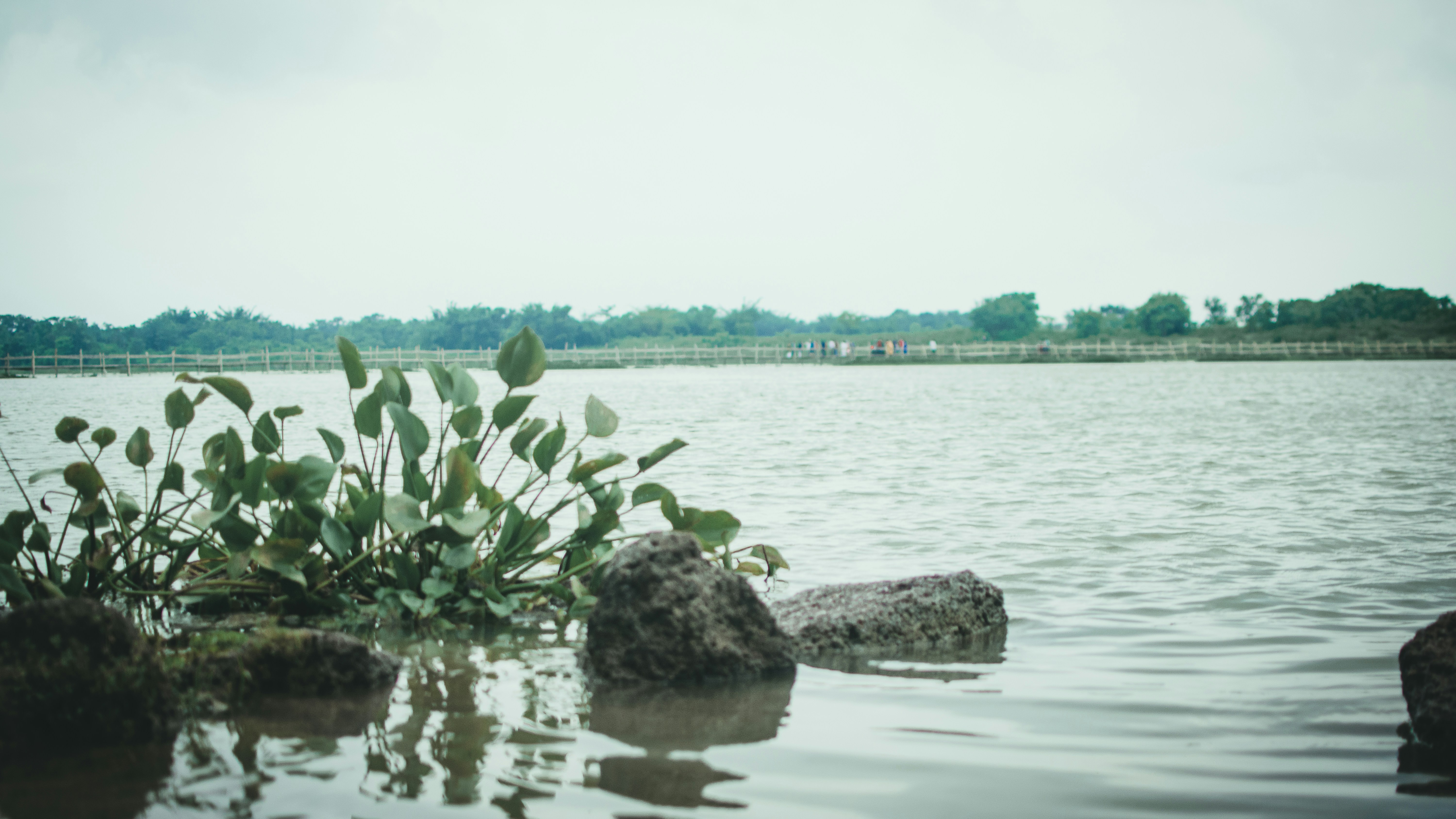 Photo by in_a_dustyblackcoat