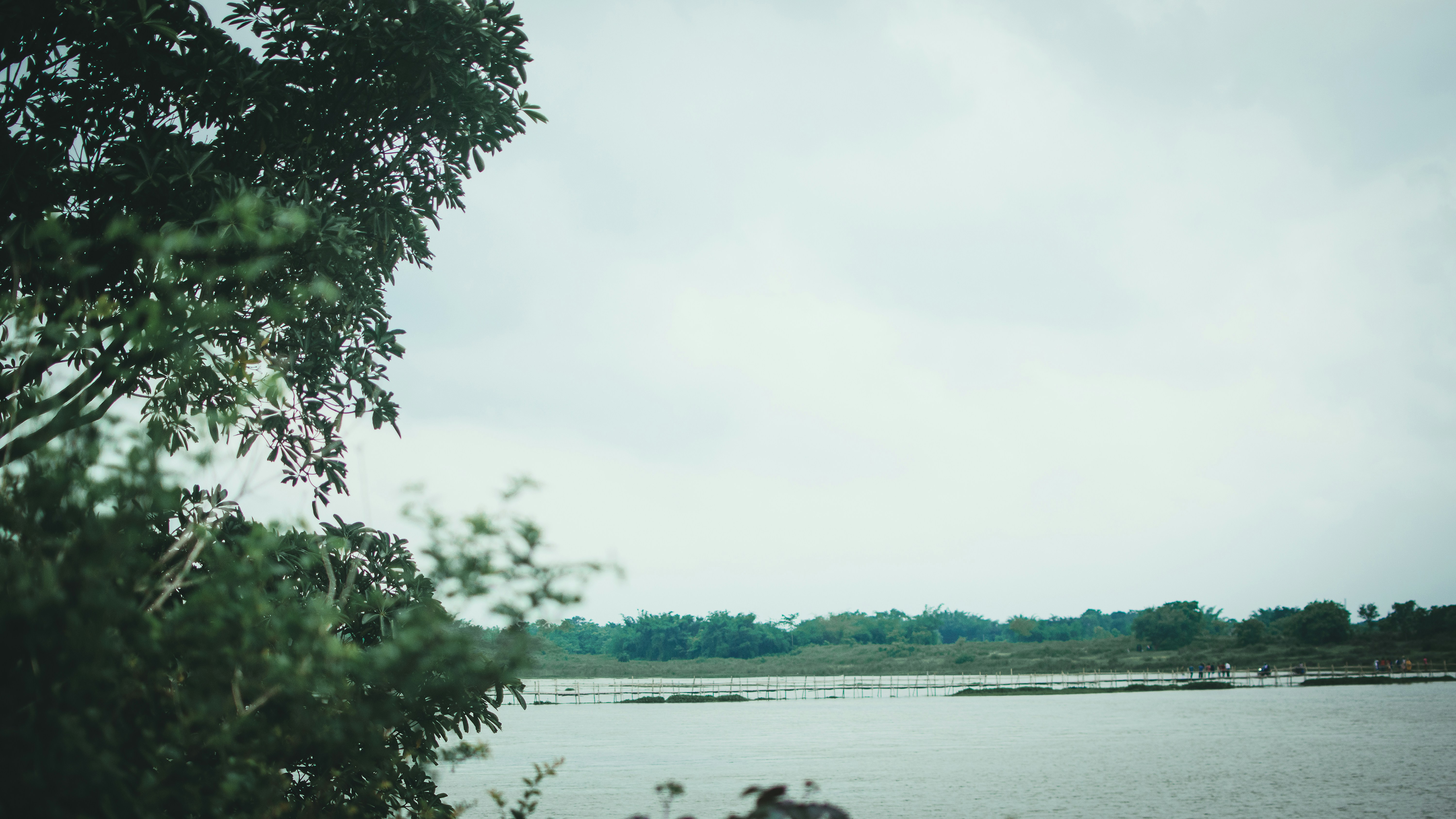 Photo by in_a_dustyblackcoat