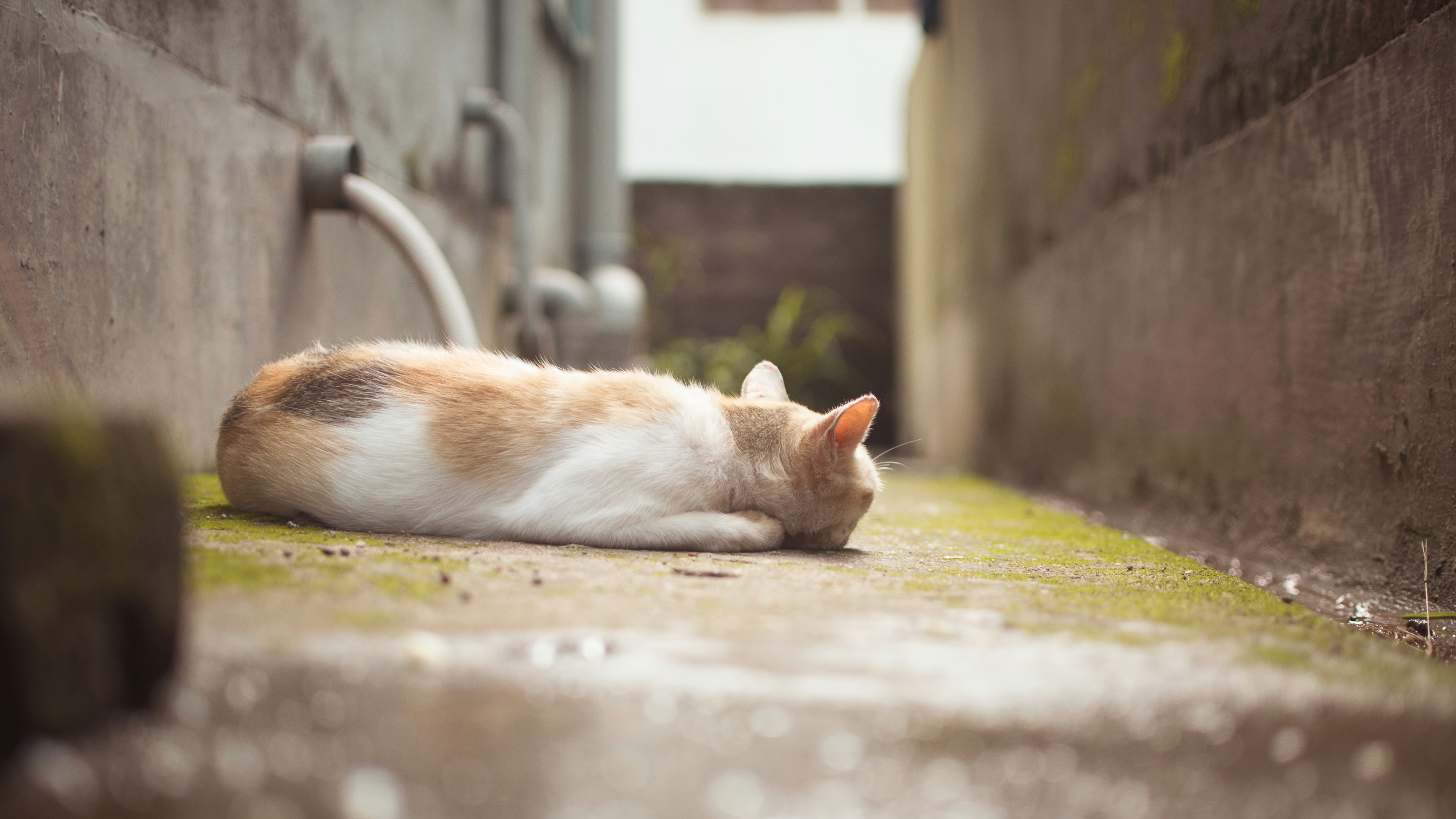 Photo by in_a_dustyblackcoat