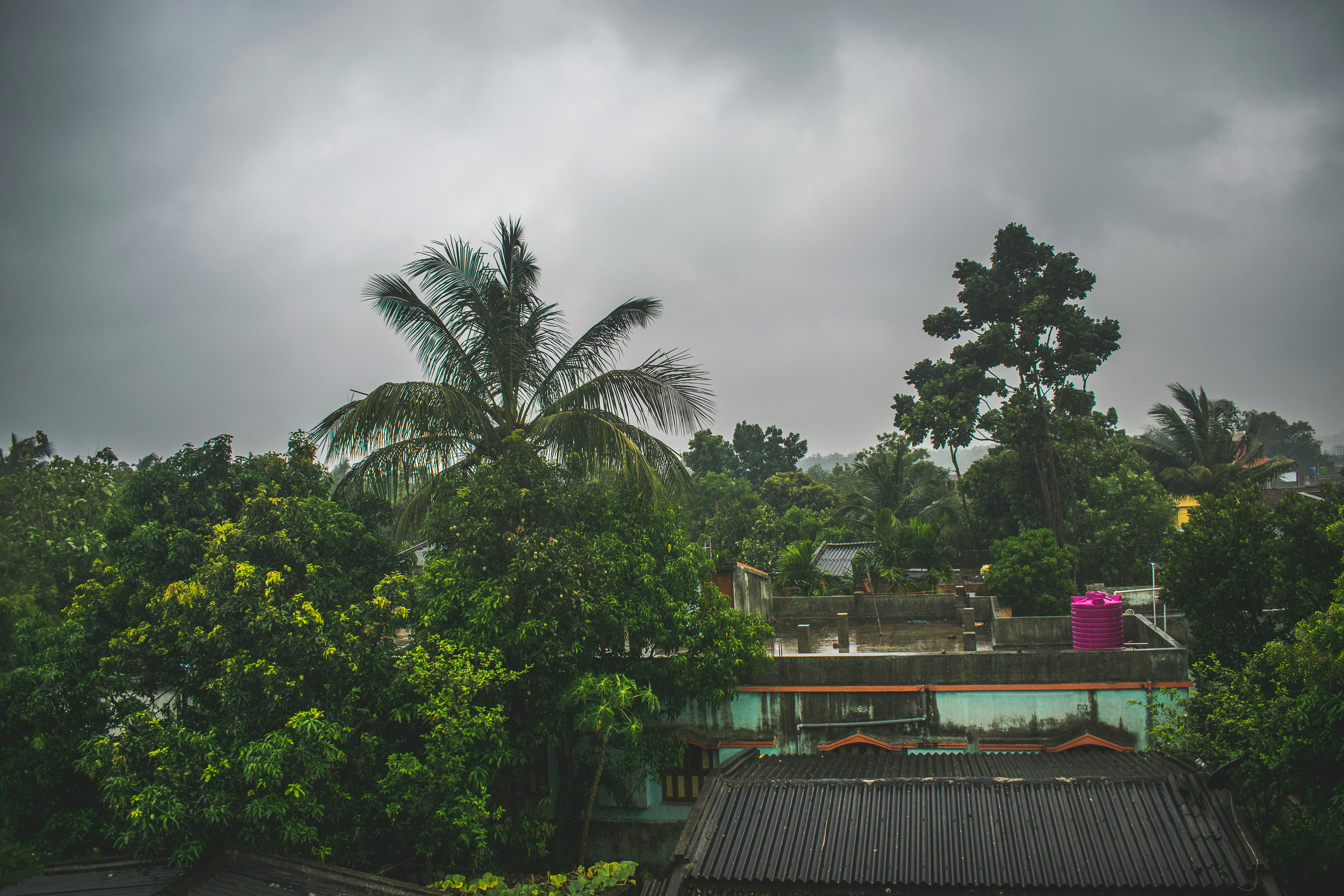 Photo by in_a_dustyblackcoat