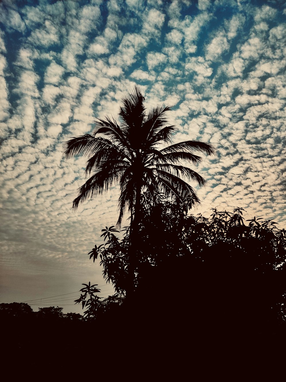 a palm tree is silhouetted against a cloudy sky