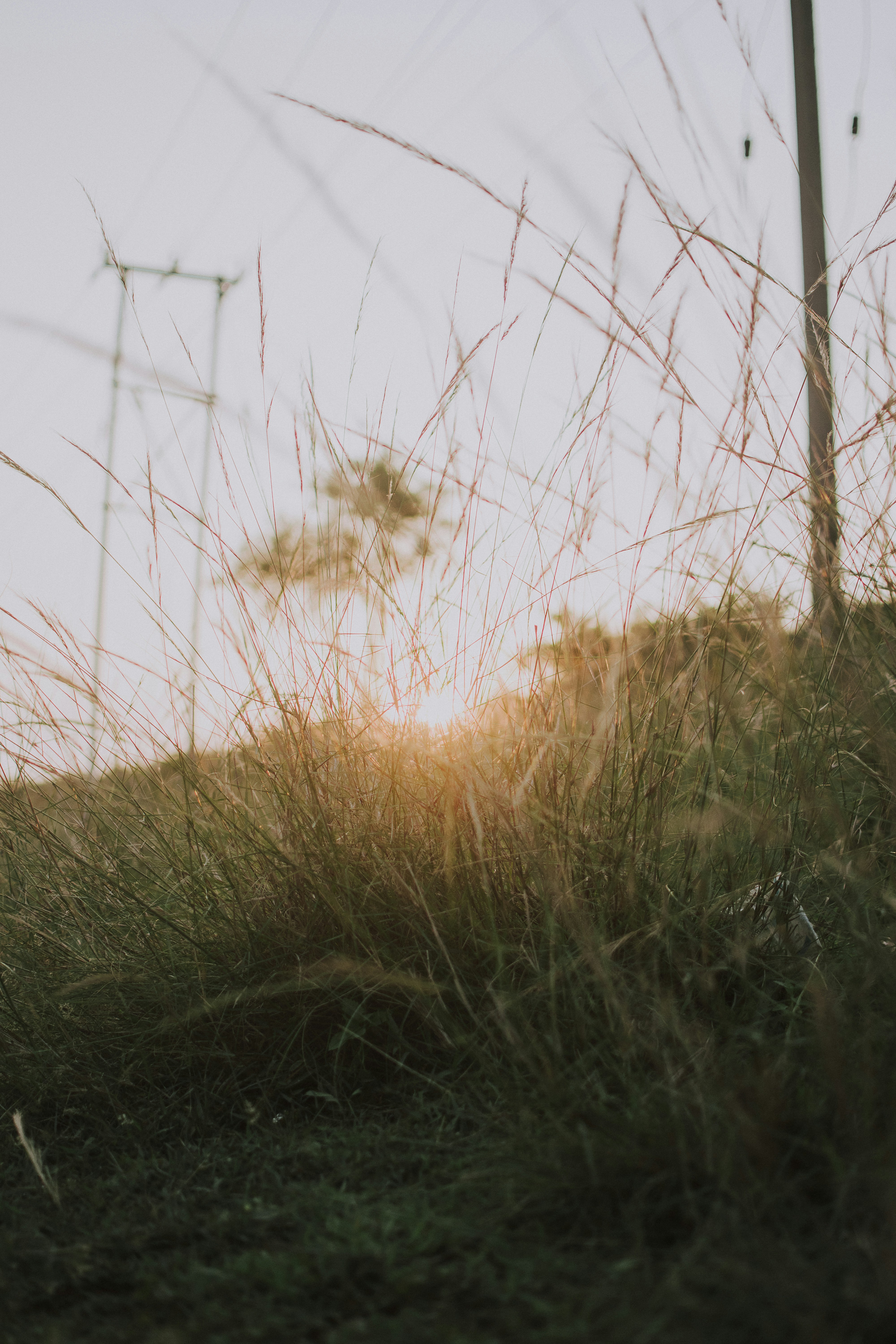 Photo by in_a_dustyblackcoat