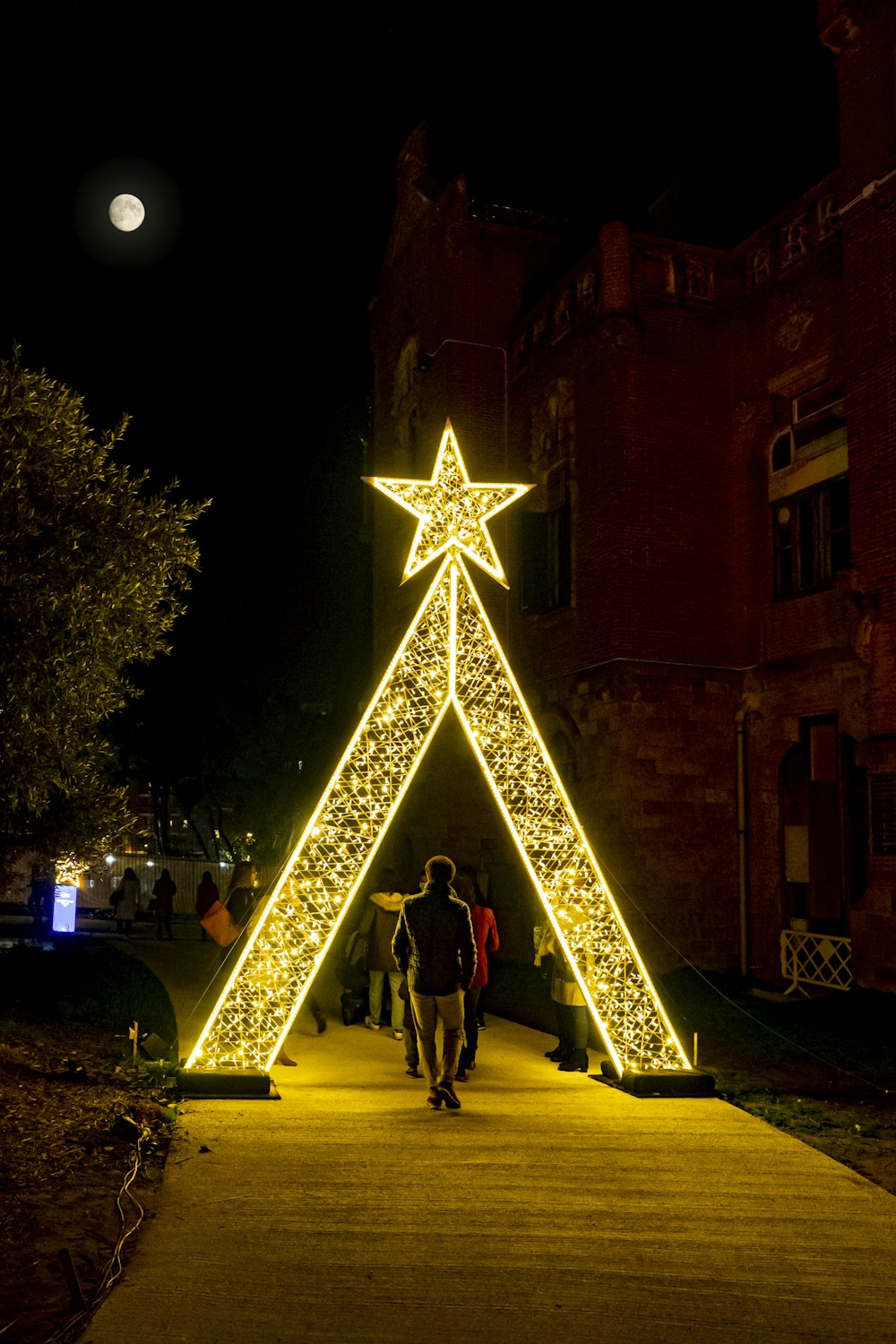 a lighted christmas tree on a walkway at night