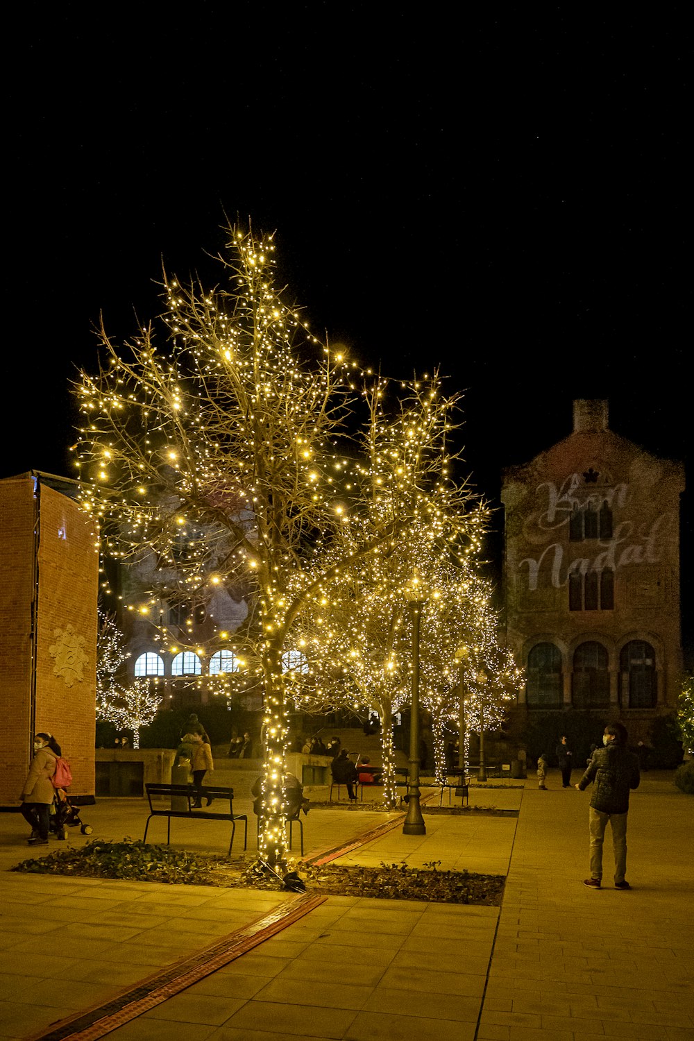 a group of people standing around a tree covered in lights