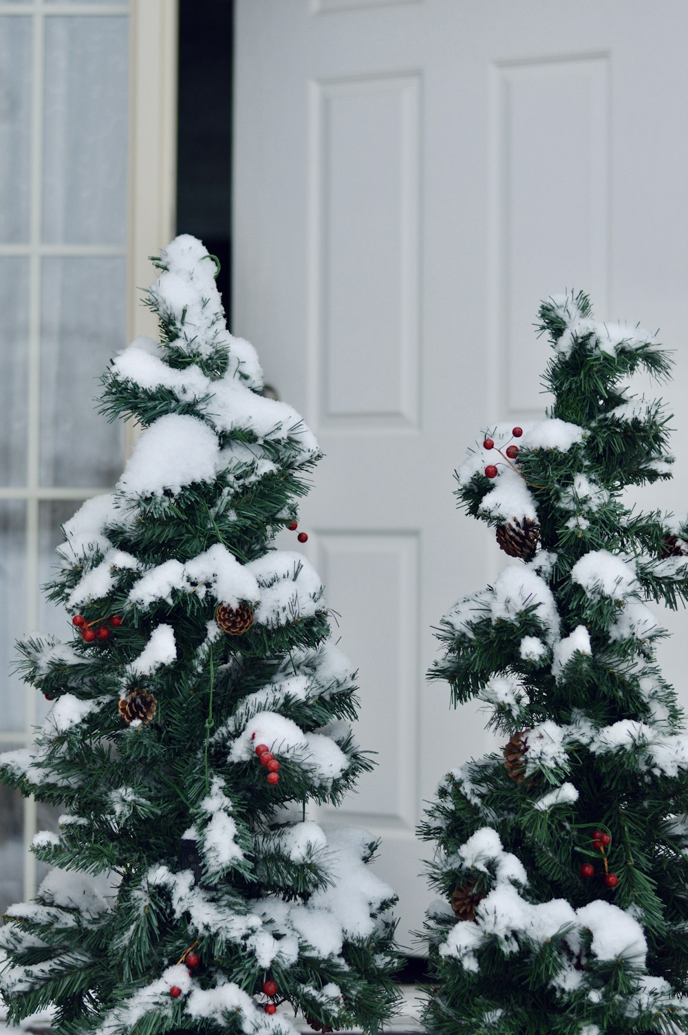 a couple of trees that are covered in snow