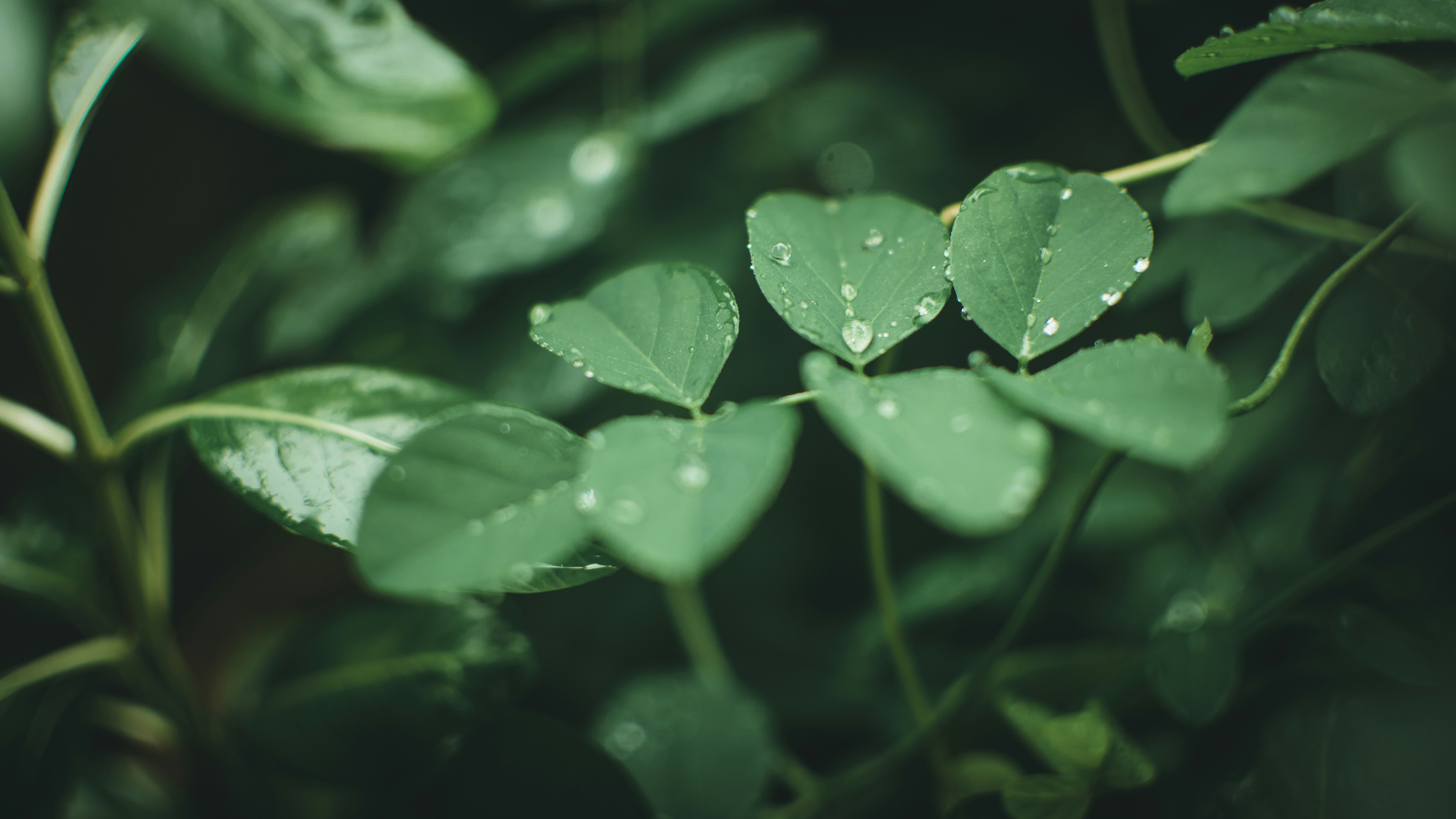 Photo by in_a_dustyblackcoat