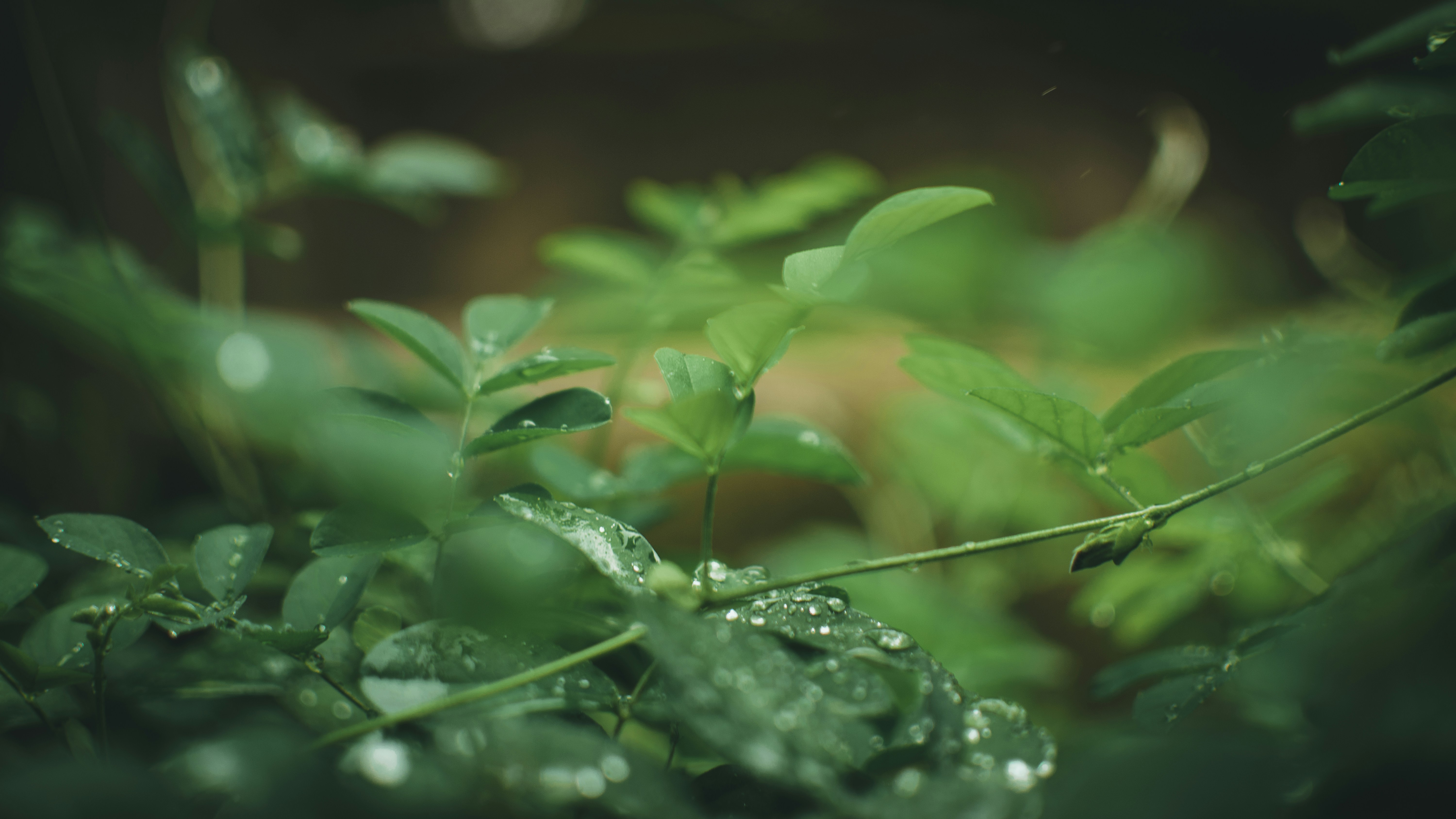 Photo by in_a_dustyblackcoat