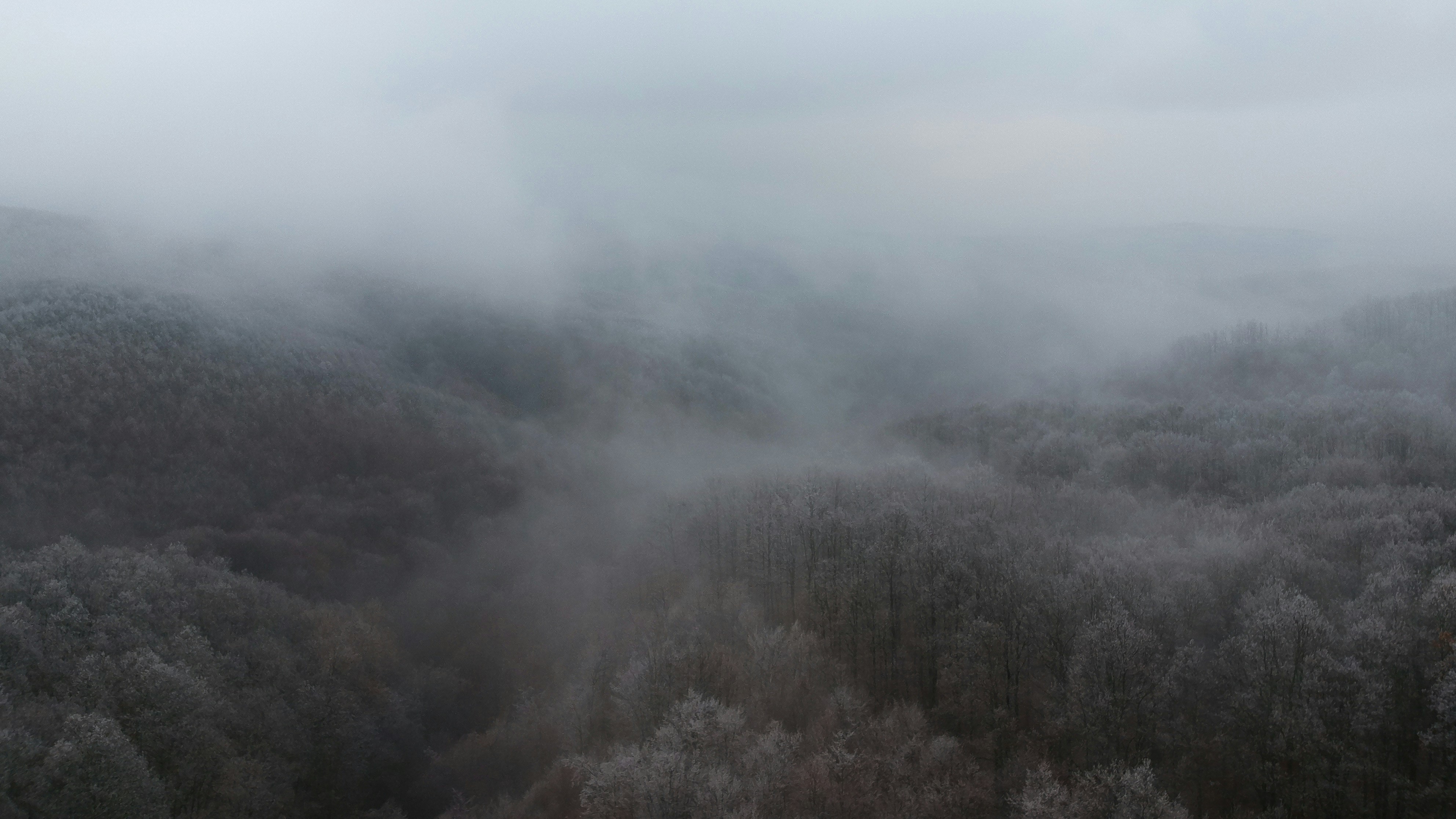 Photo by vjeblackbirdlion