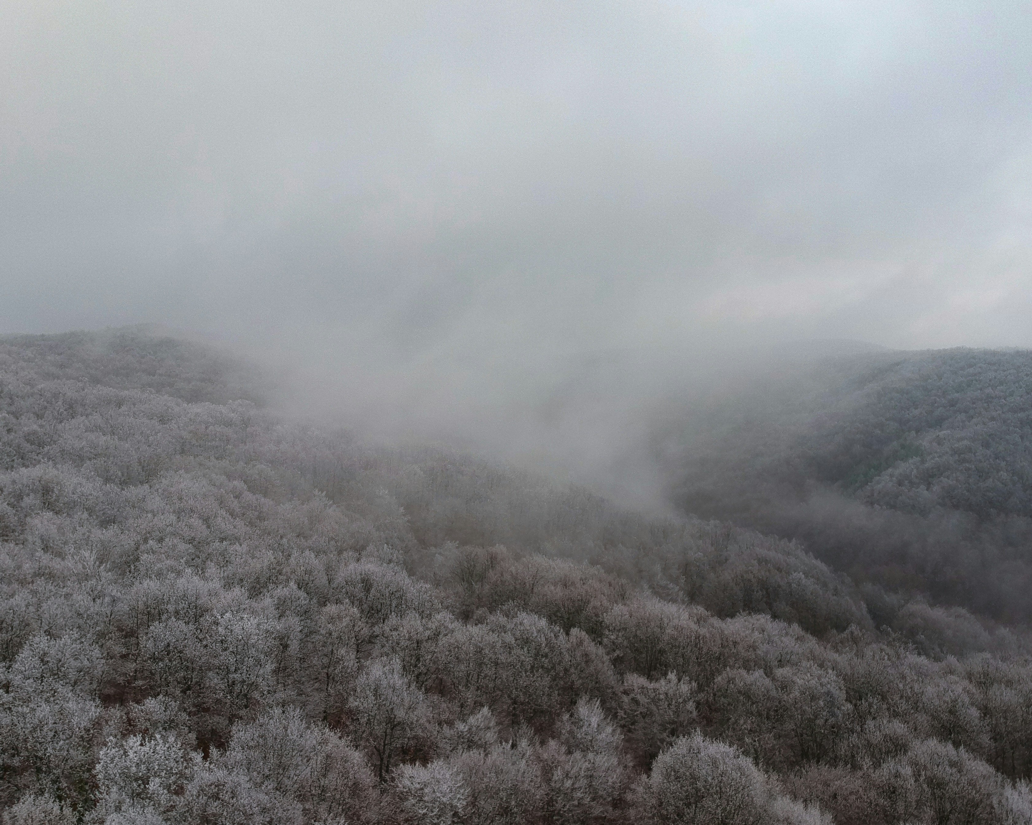 Photo by vjeblackbirdlion