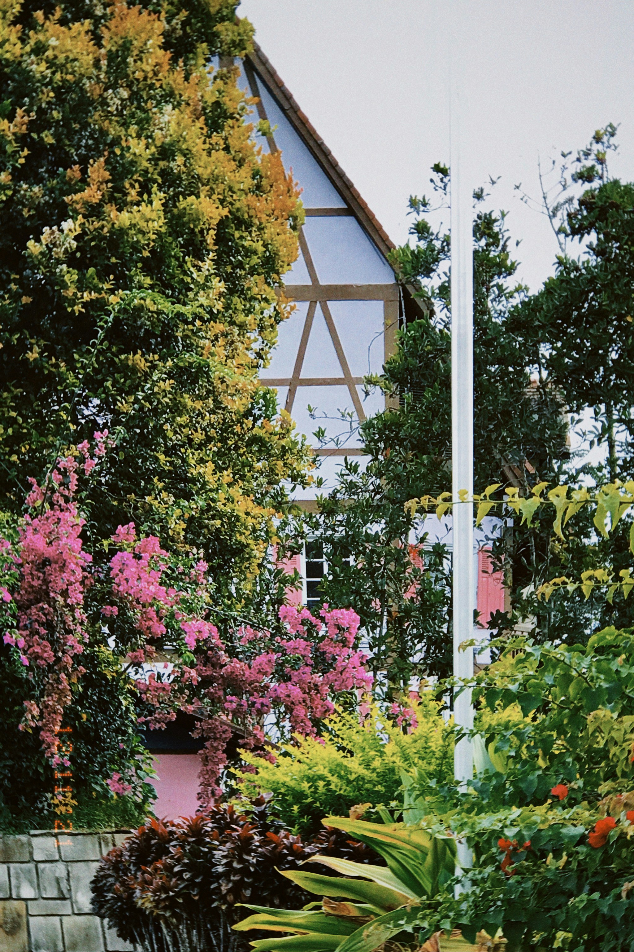 Photo by carlisastra