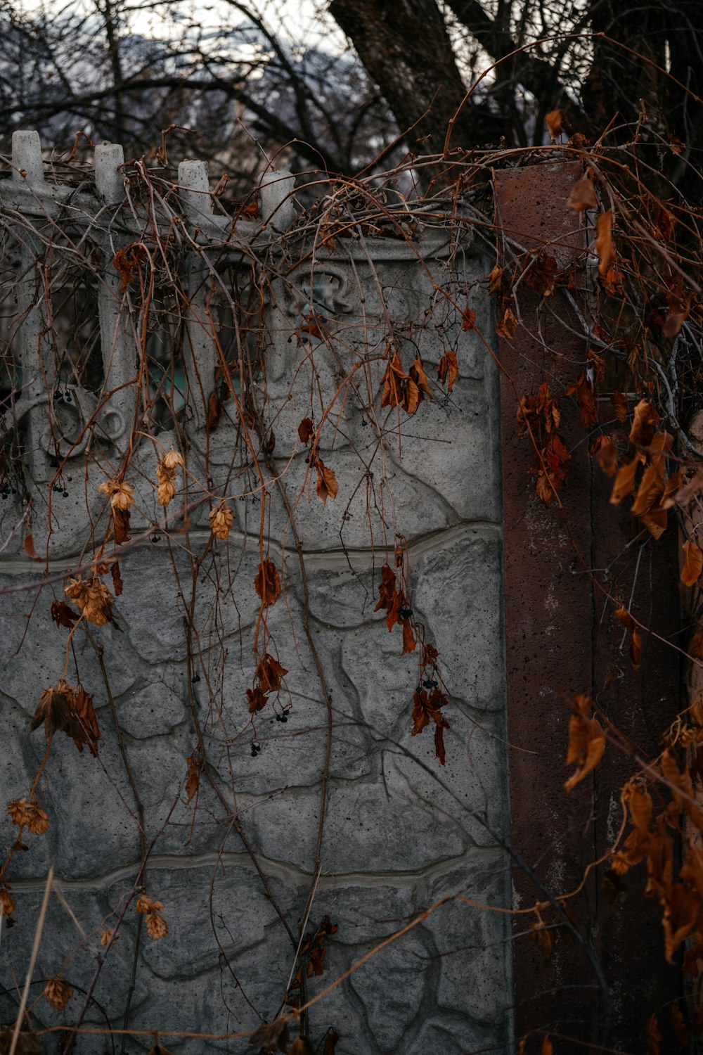 a stone wall with vines growing over it