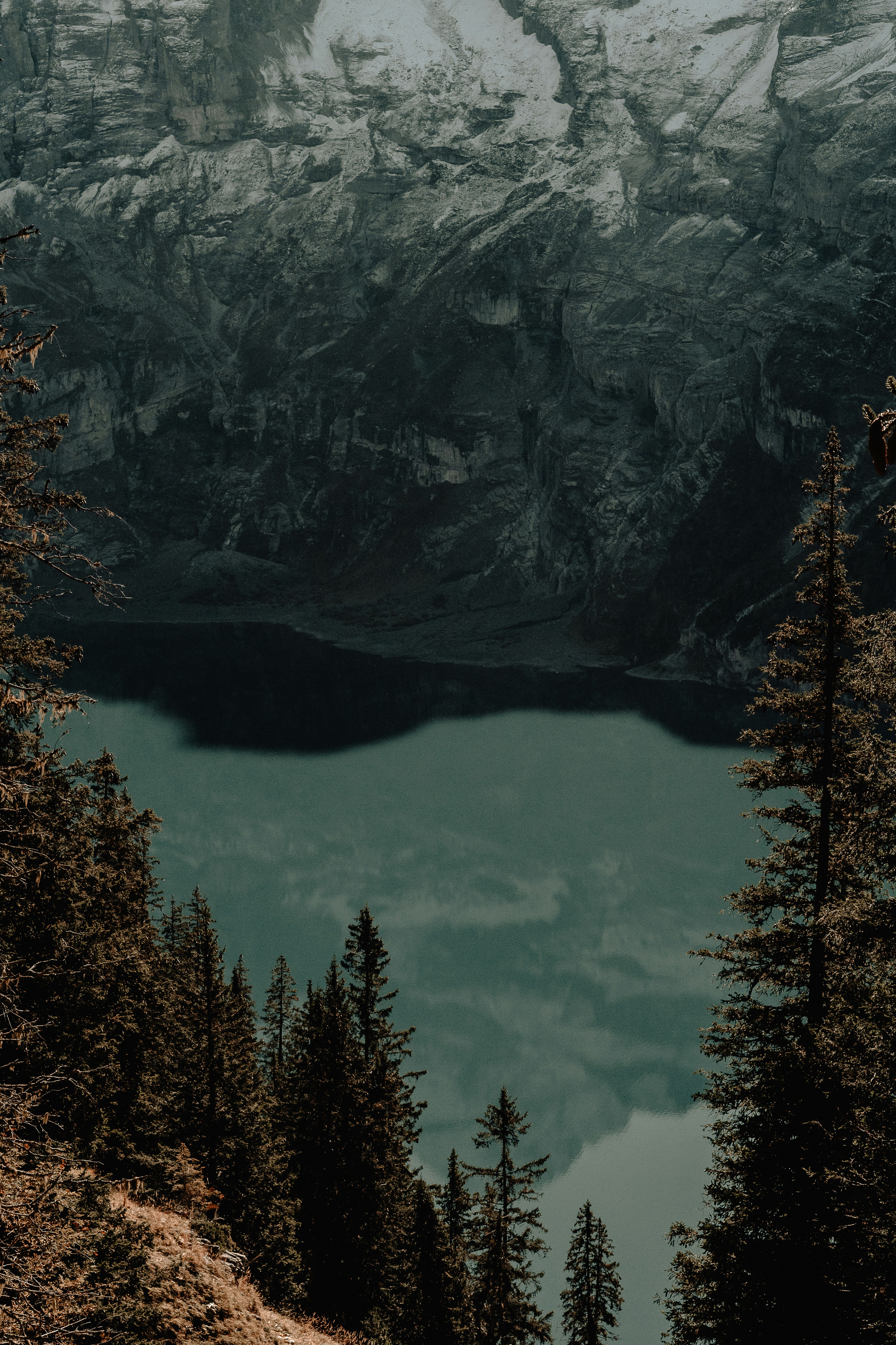 Text editor interface with AI suggestions overlaying a calm lake landscape