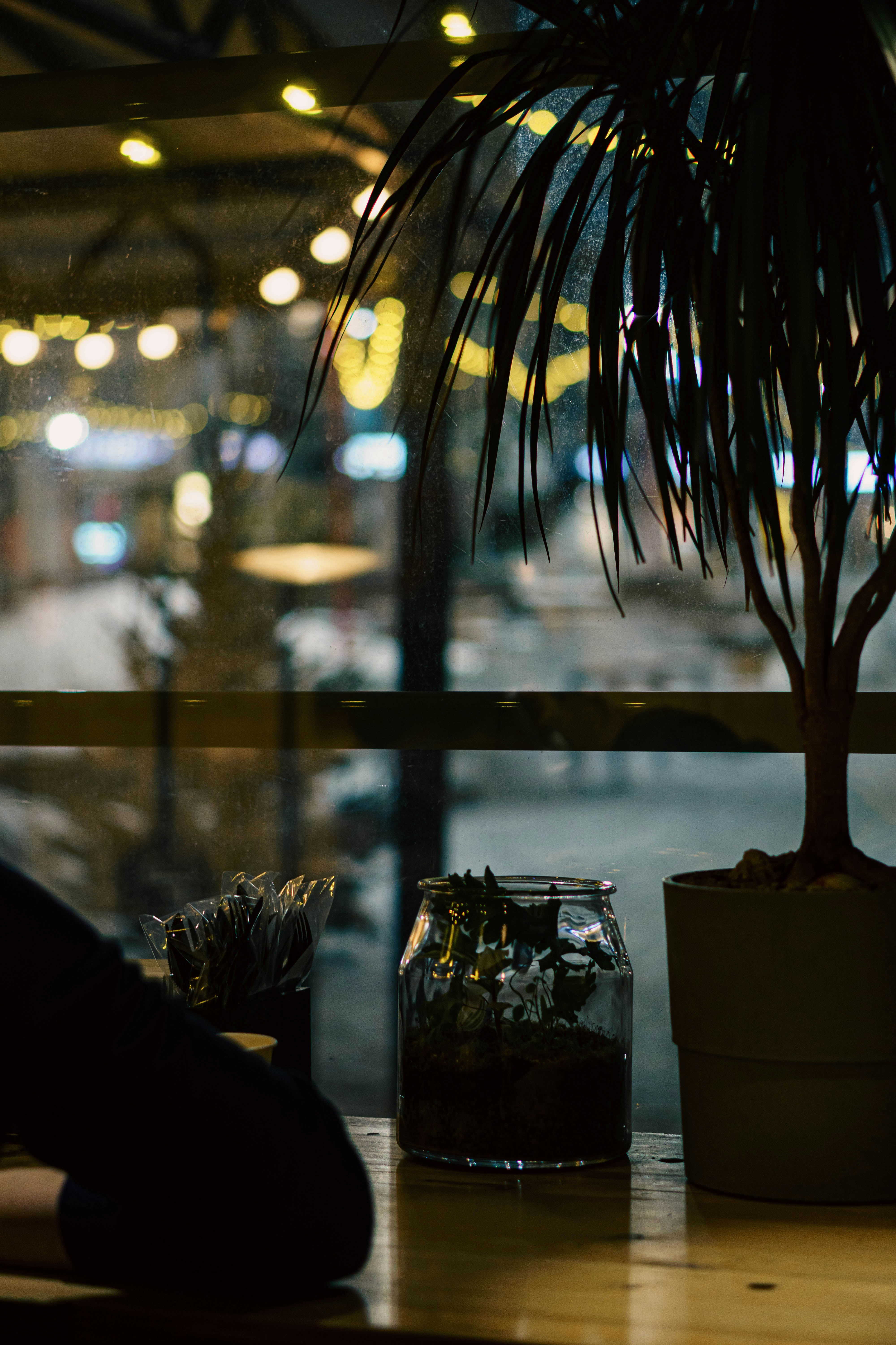 Photo by yuyustudios99