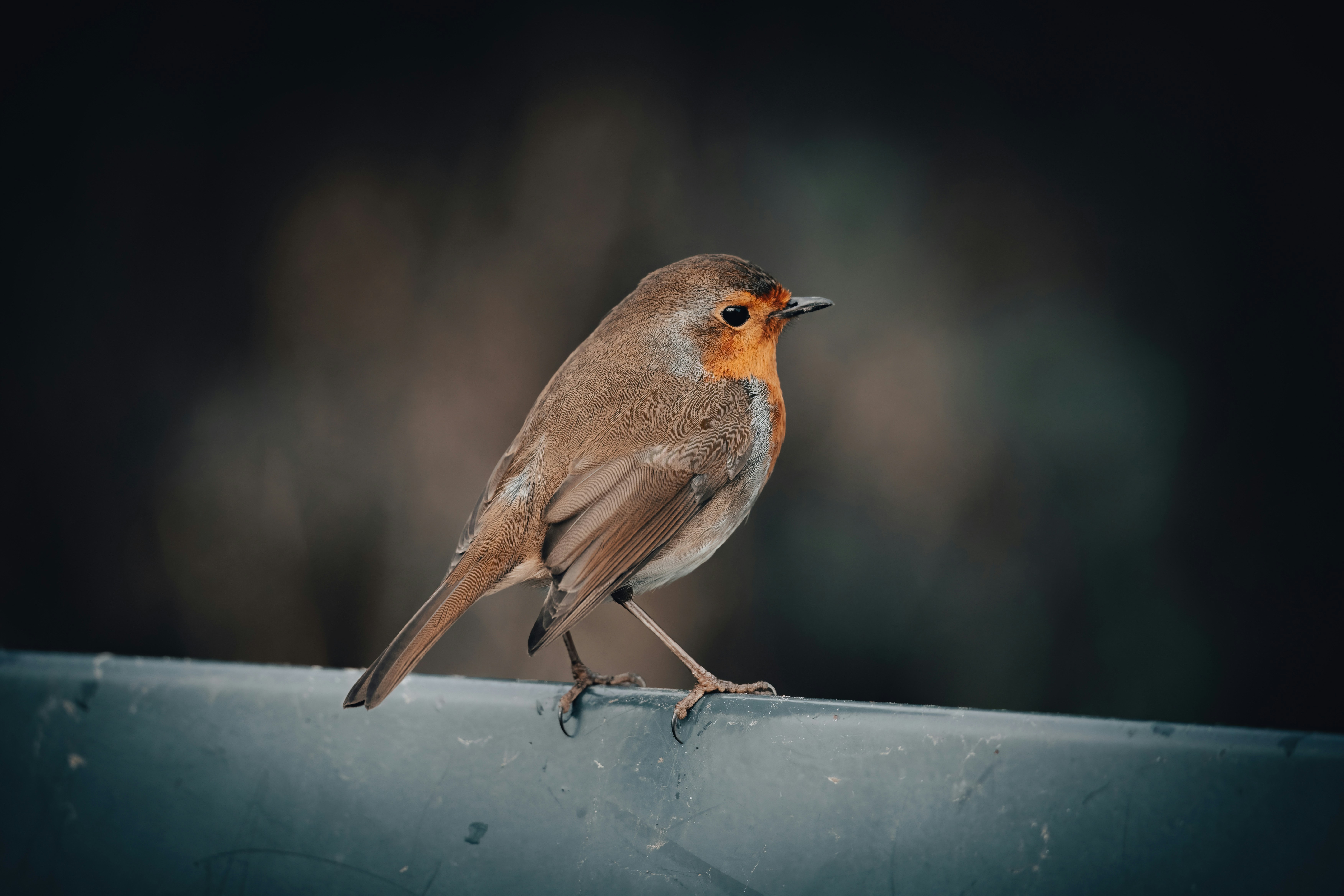 Trivia nights in Preston, United Kingdom