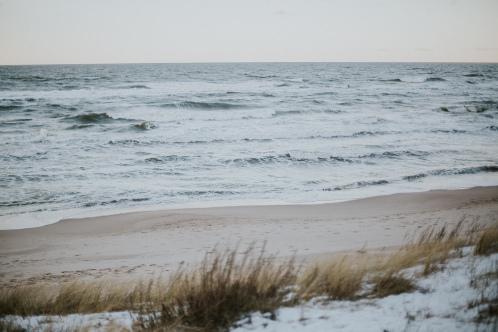 a sandy beach next to a body of water