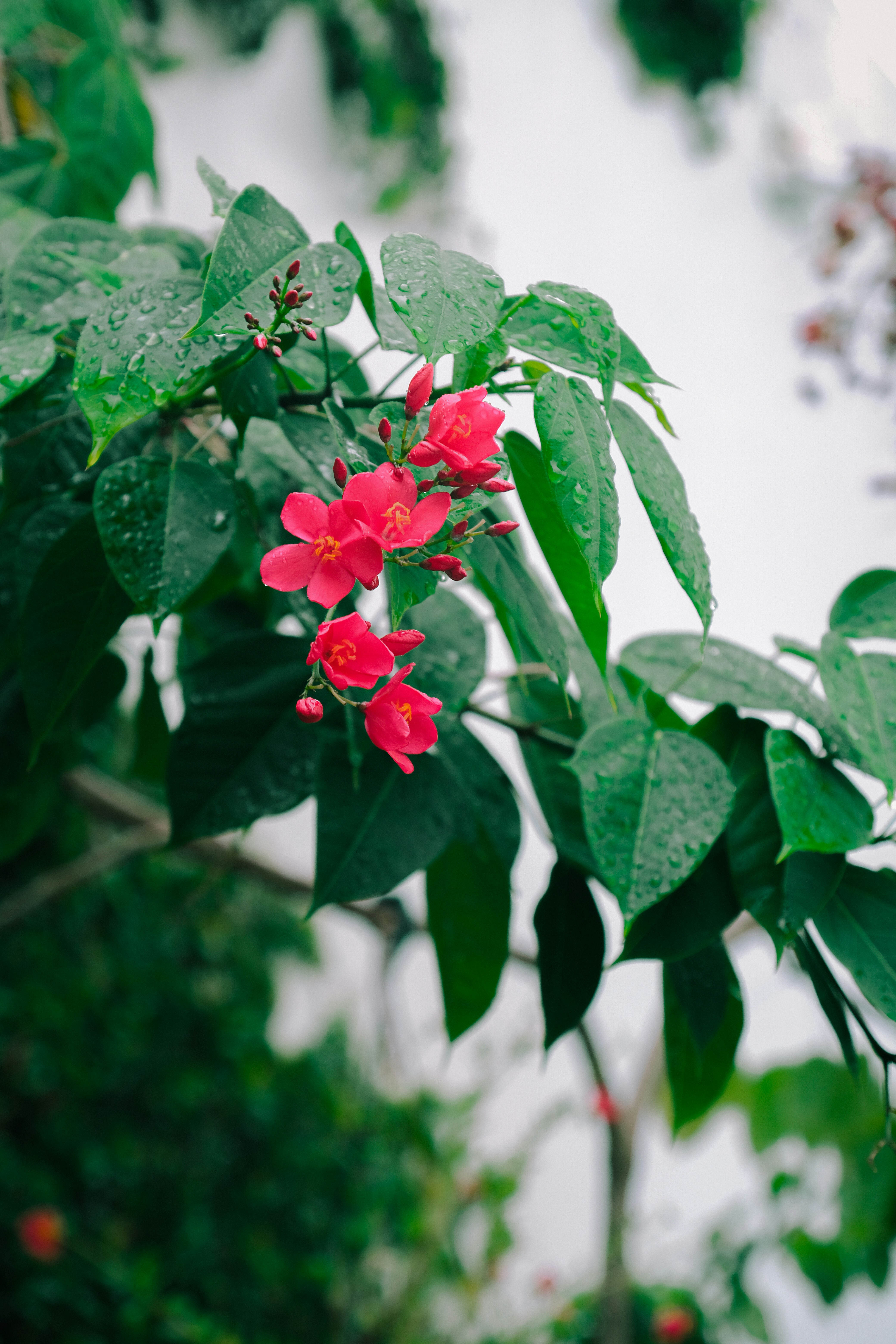 Photo by samuelmarthins