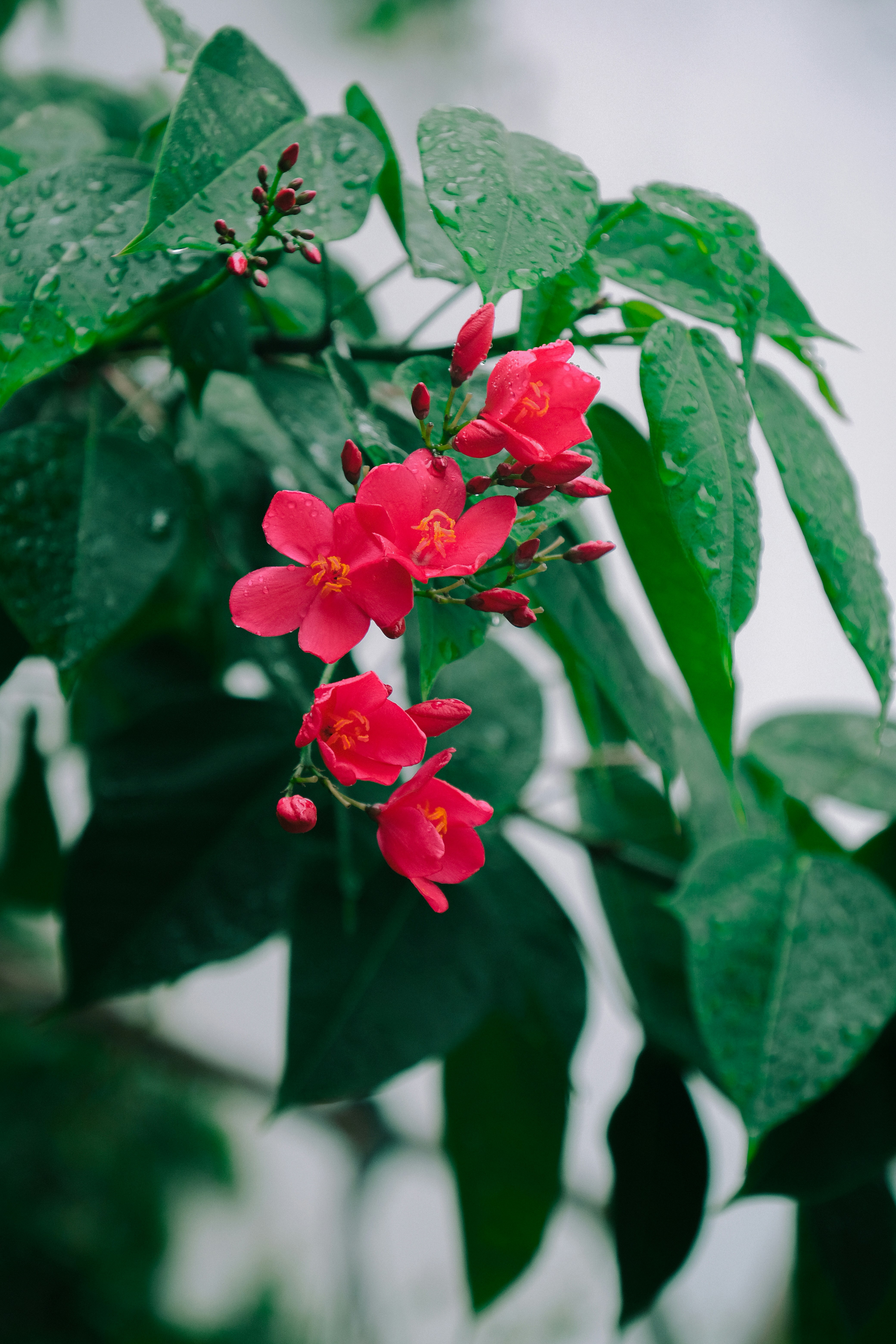 Photo by samuelmarthins