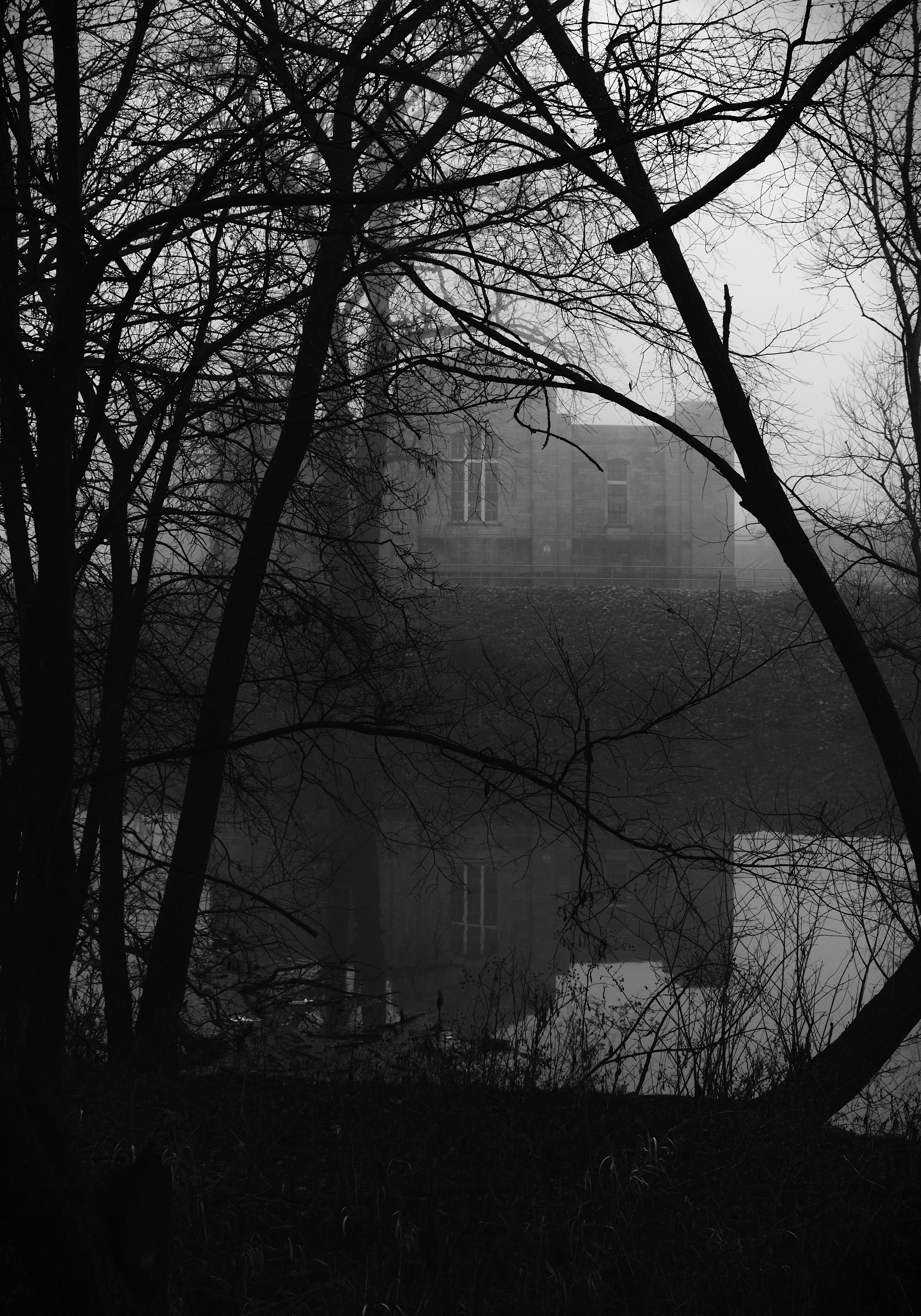 Photo by mrgreatheart