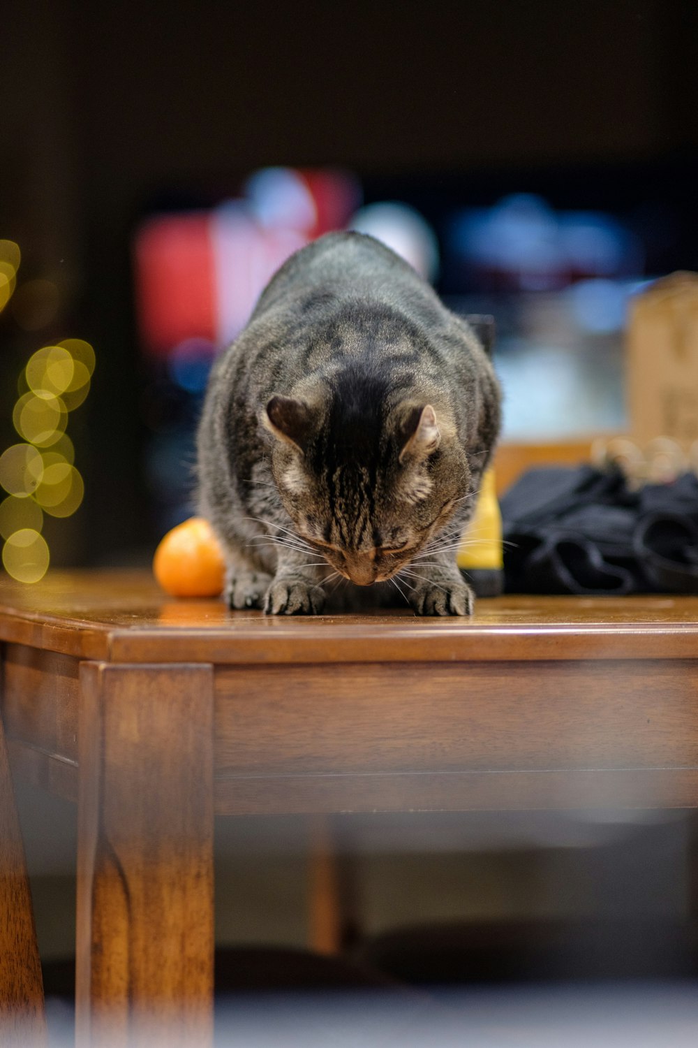 a cat sitting on top of a wooden table