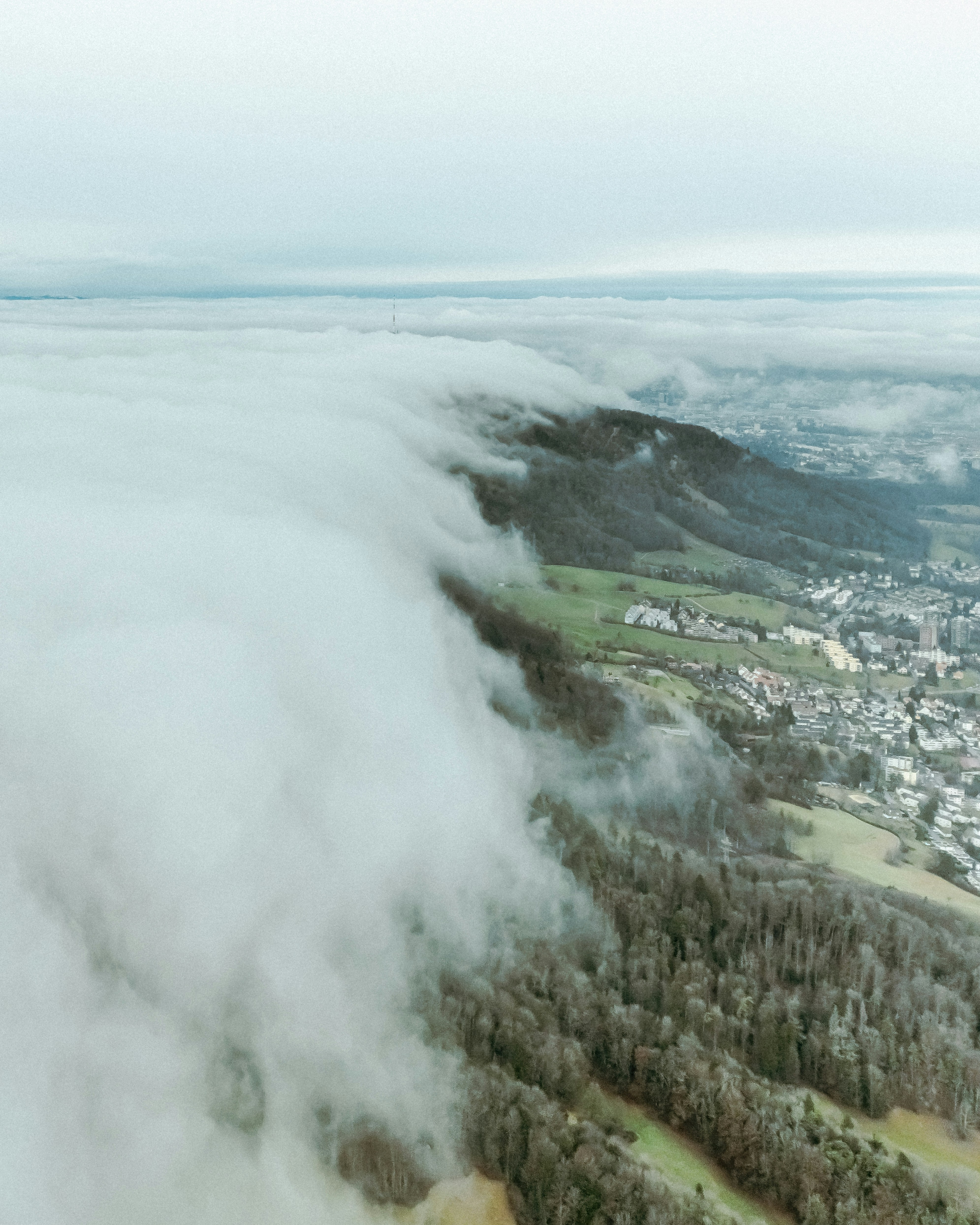 Uetliberg Mountain photo 3