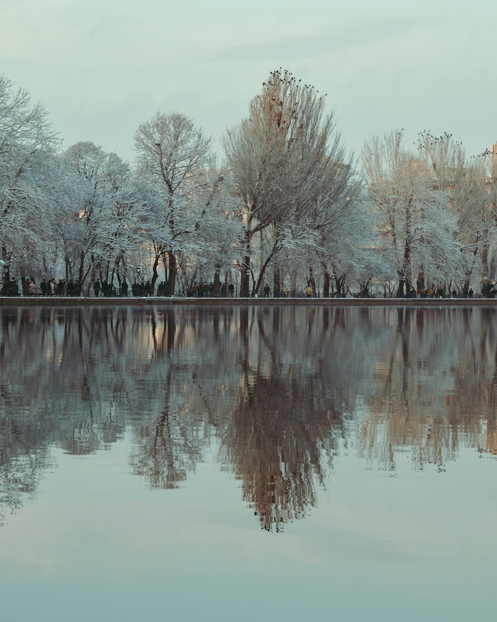 a large body of water surrounded by trees