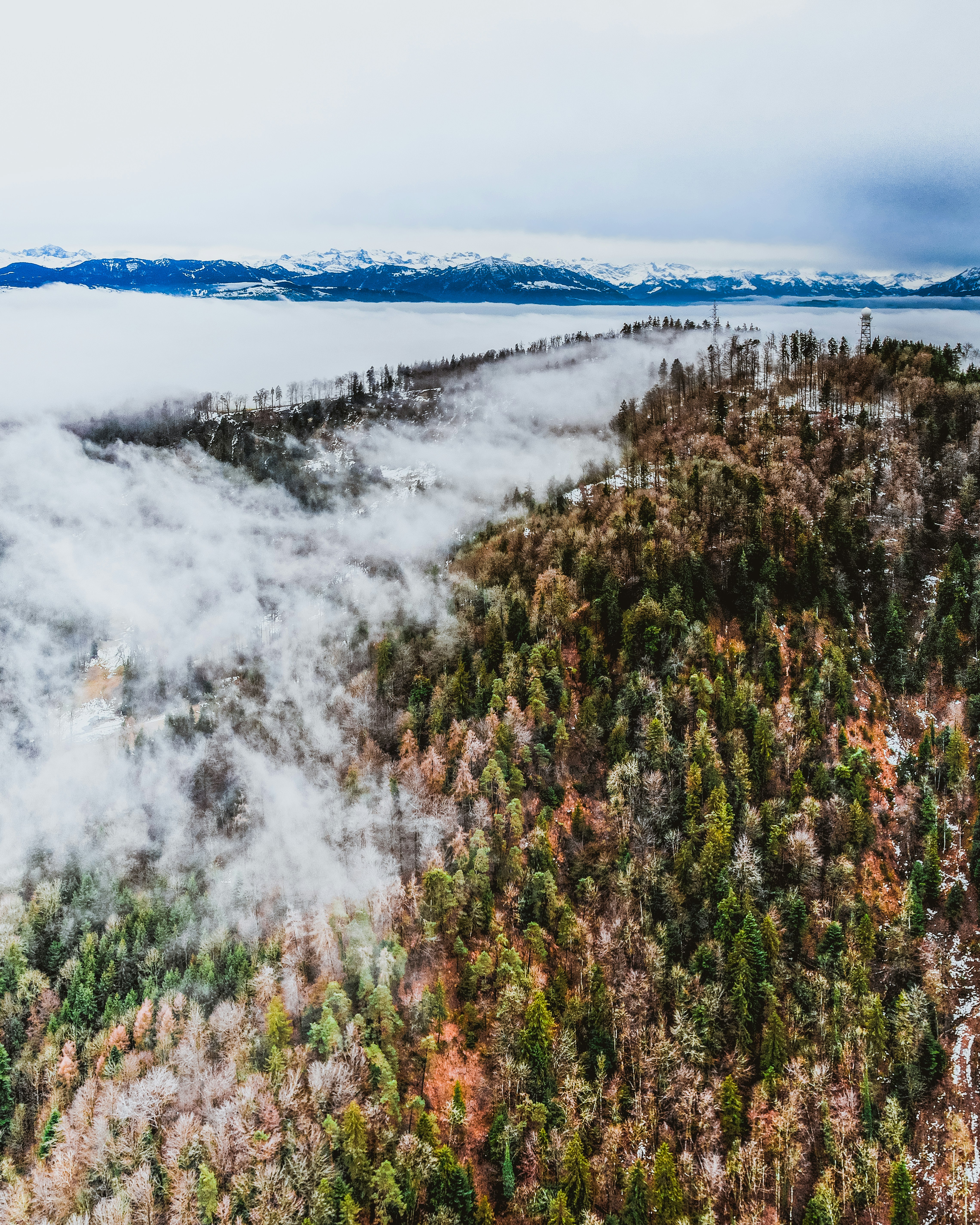 Uetliberg Mountain photo 2