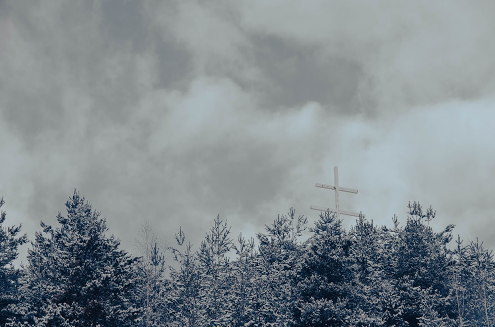 a cross in the middle of a forest