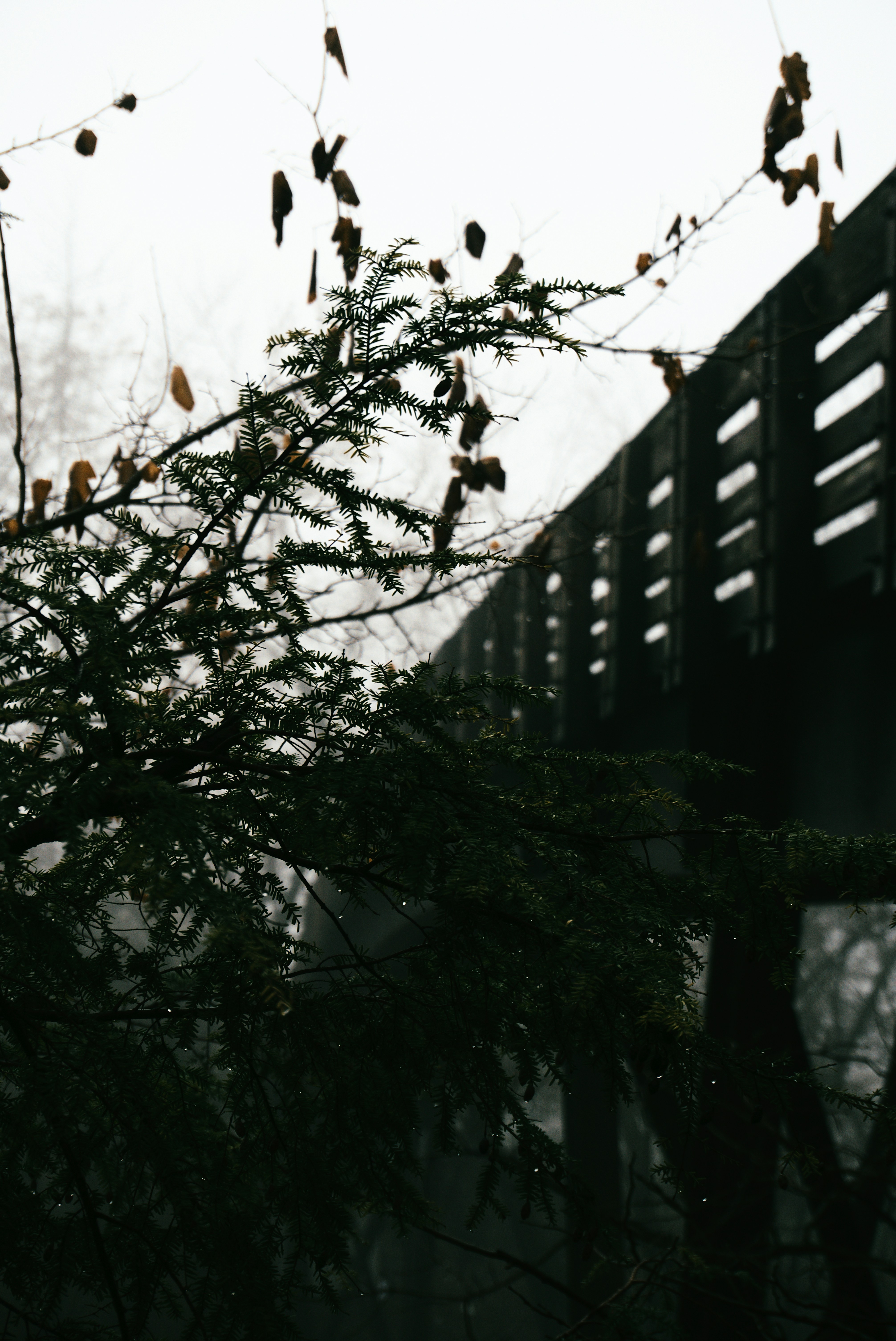 Photo by mrgreatheart