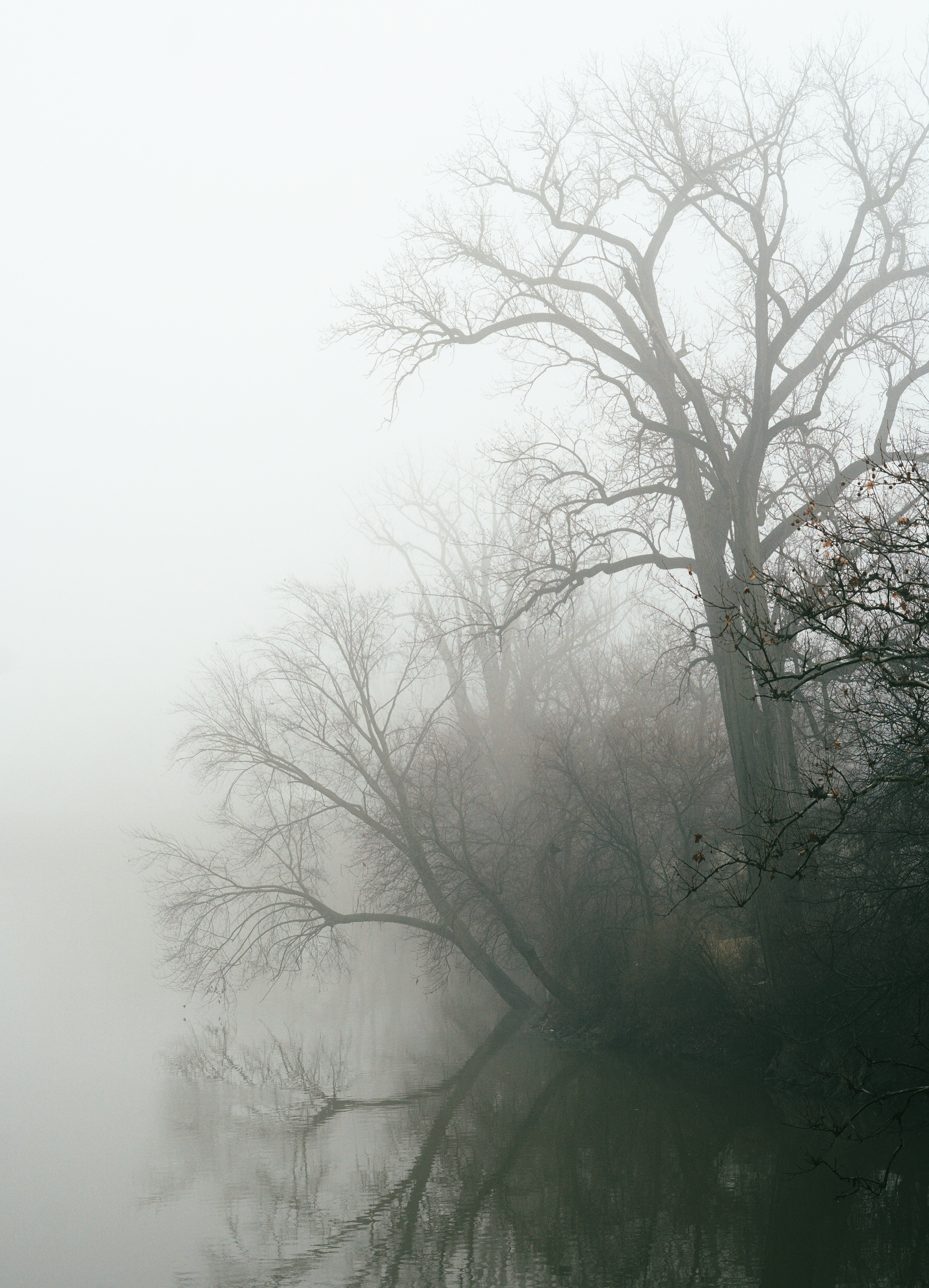 Photo by mrgreatheart