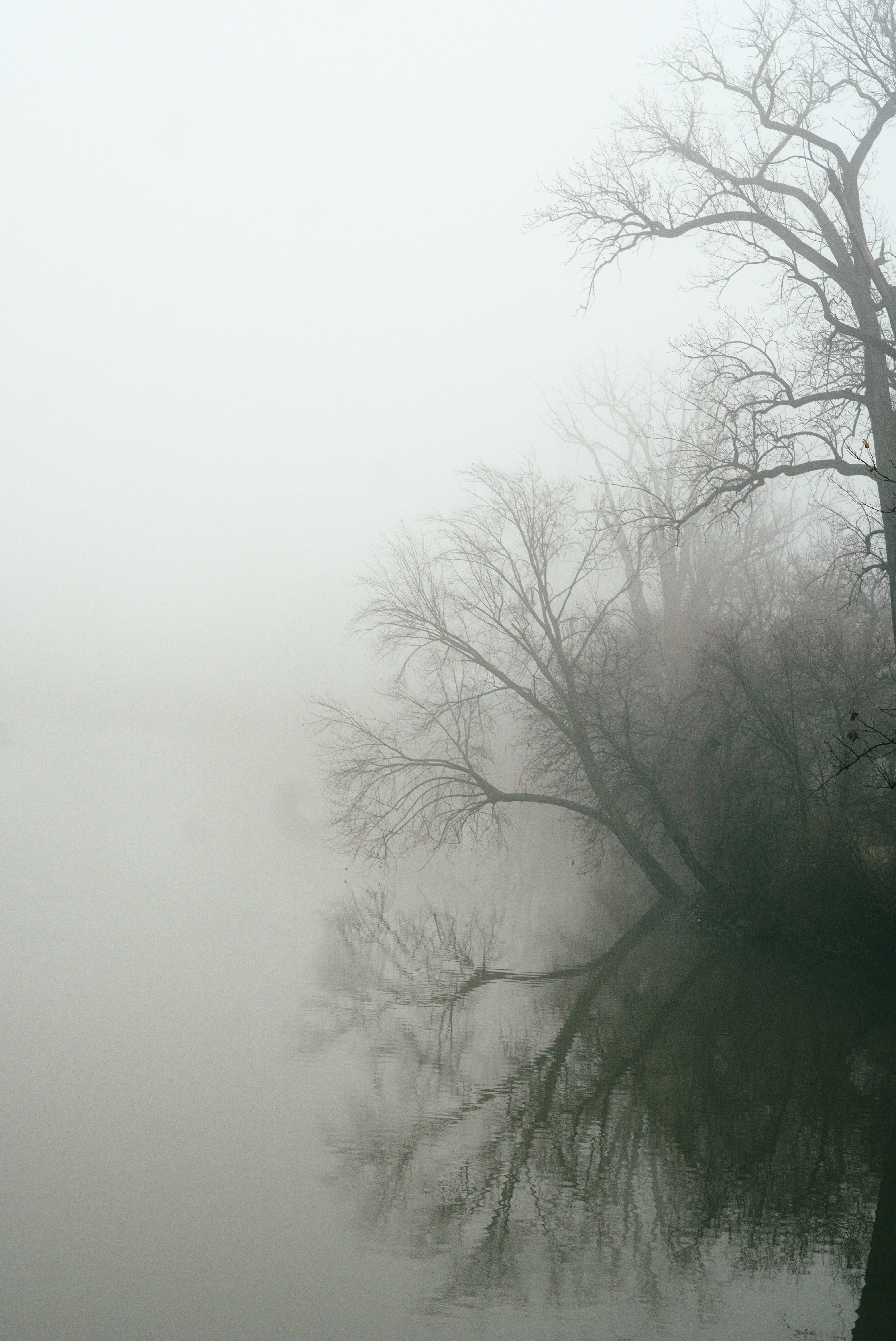 Photo by mrgreatheart