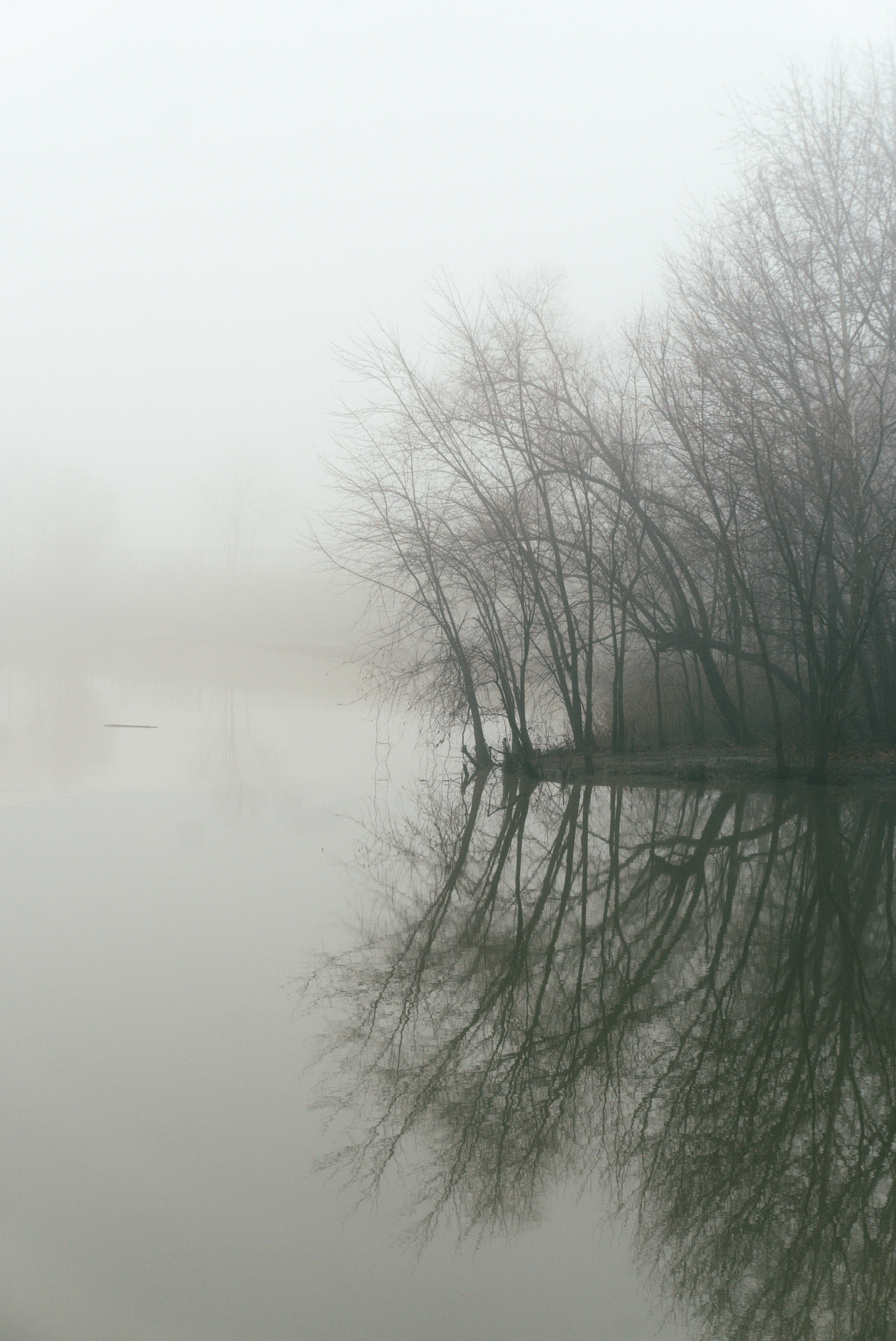 Photo by mrgreatheart