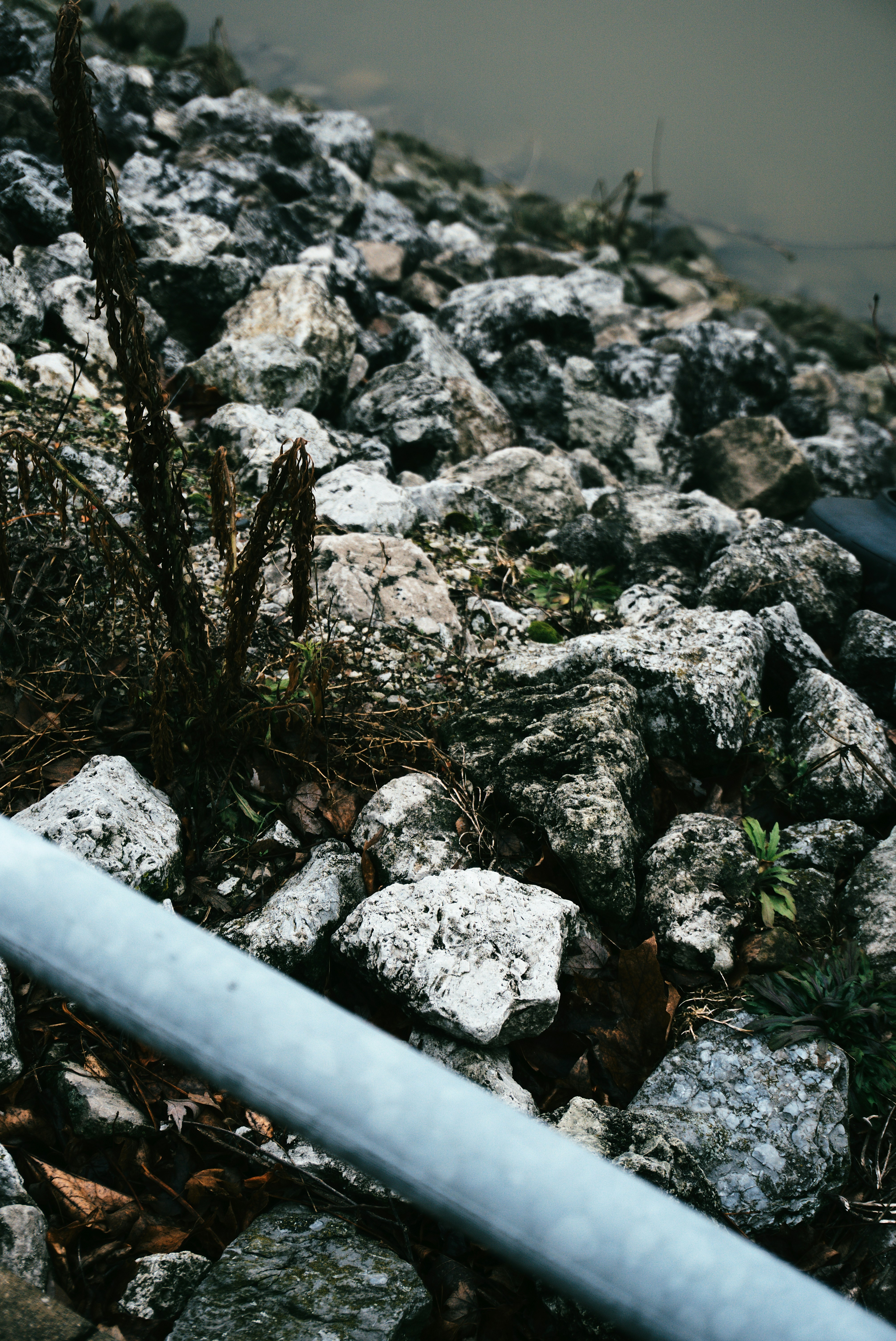 Photo by mrgreatheart