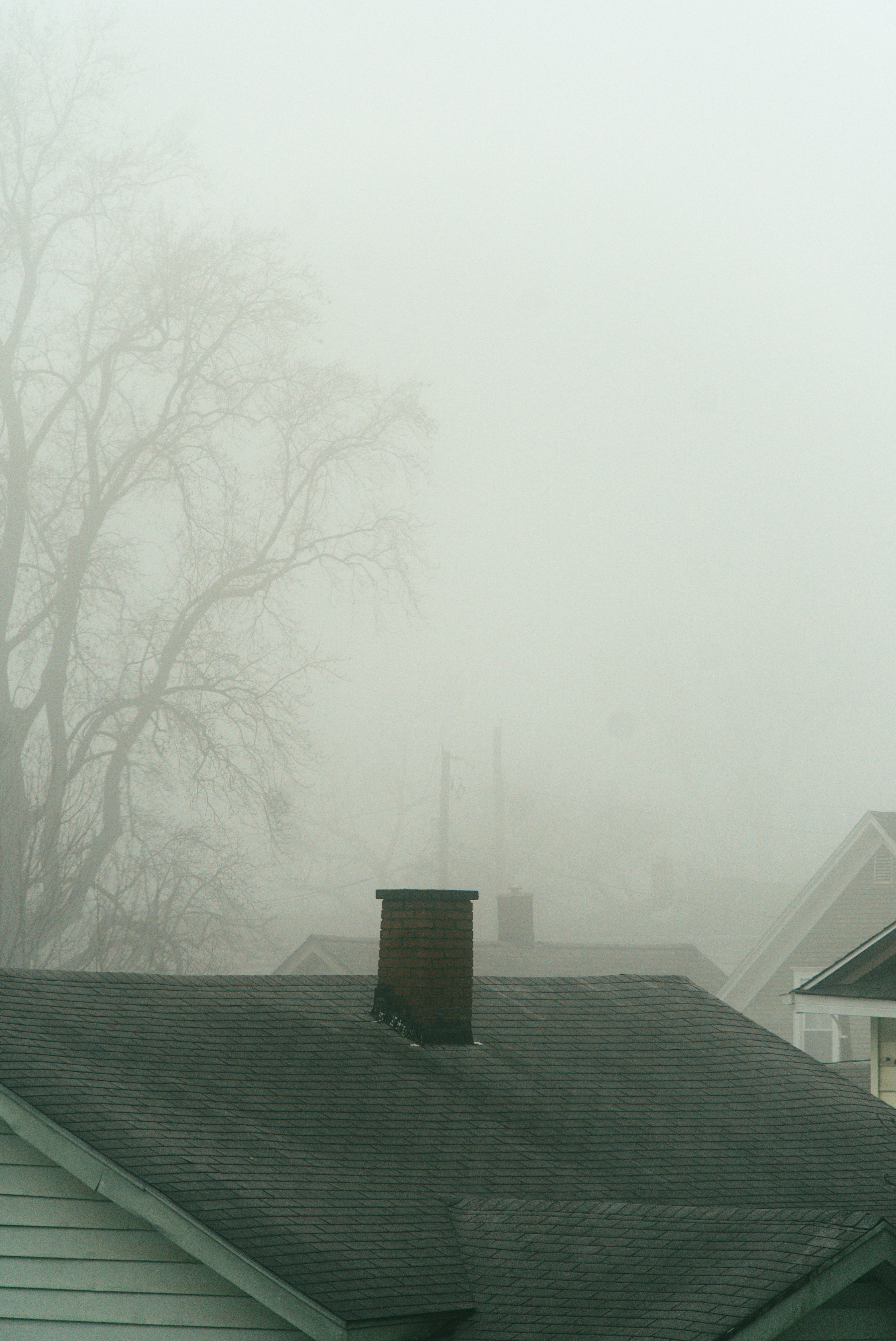 Photo by mrgreatheart