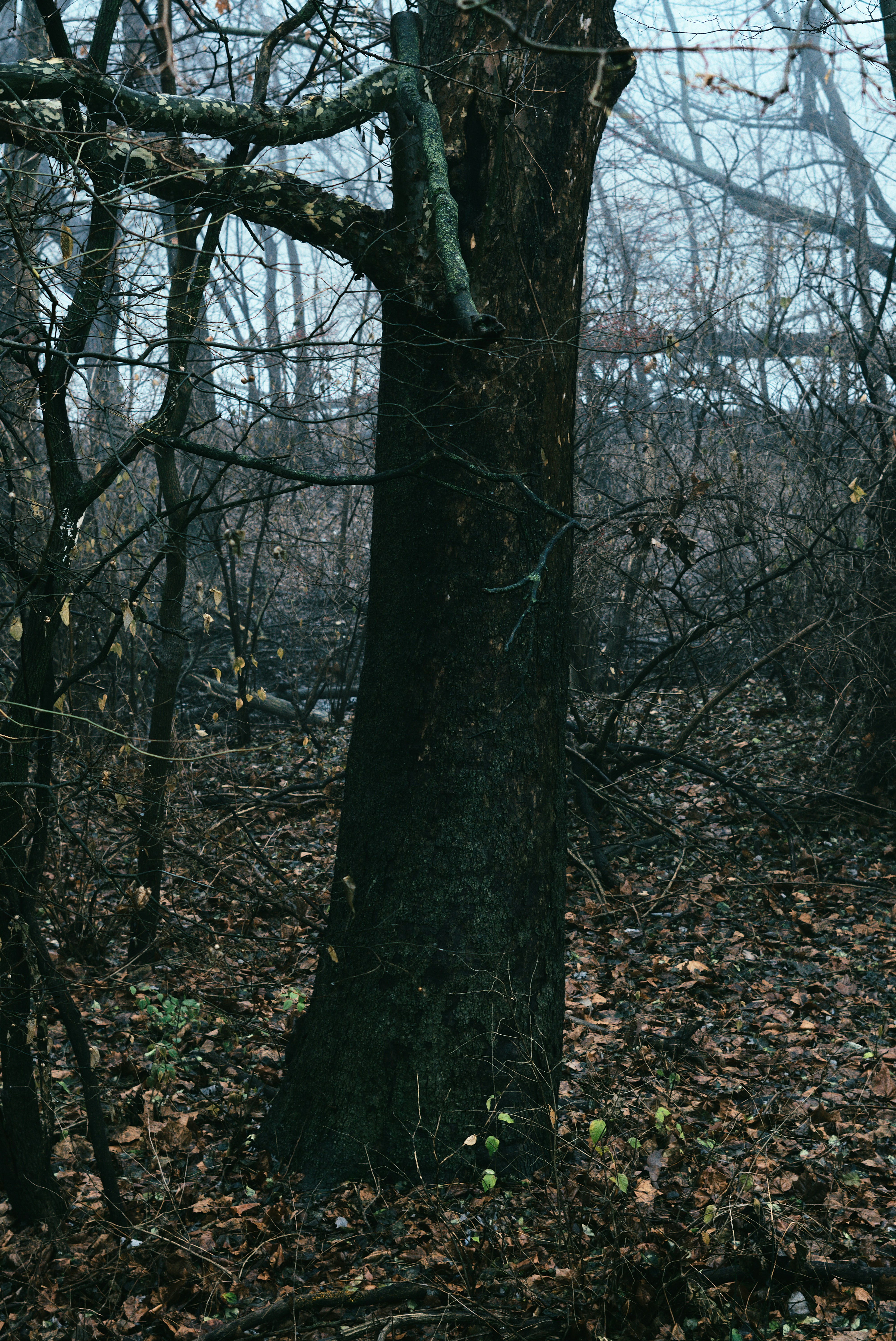 Photo by mrgreatheart