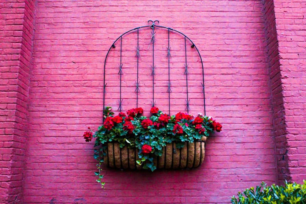 a red brick wall with a hanging basket of flowers