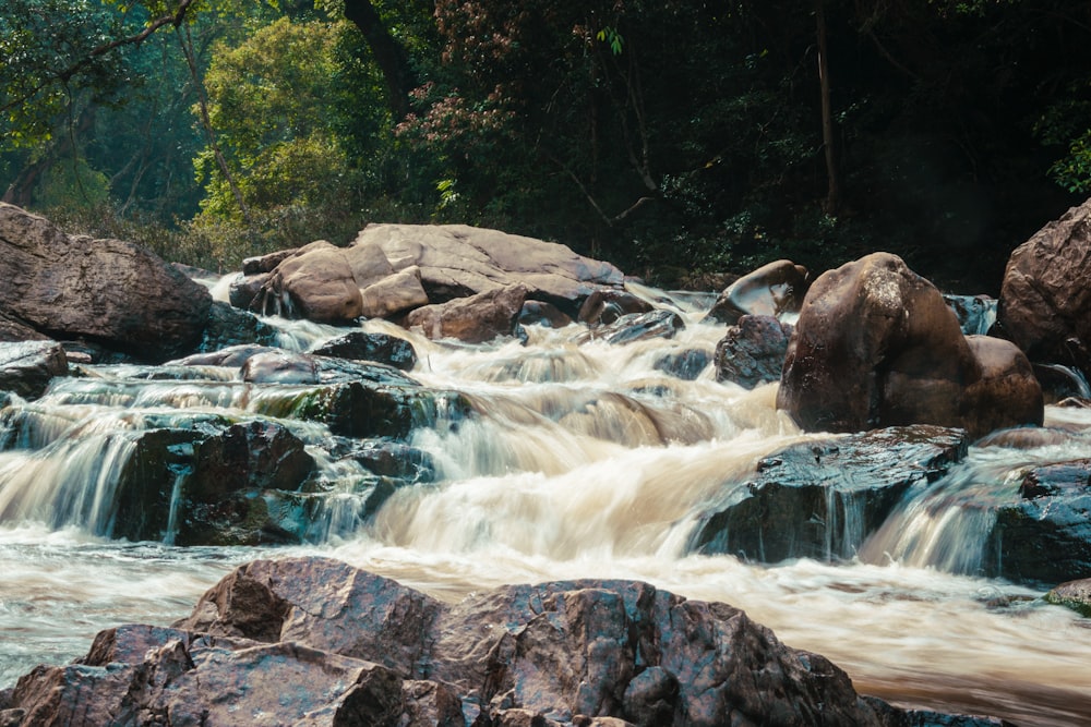 a stream of water running over rocks in a forest