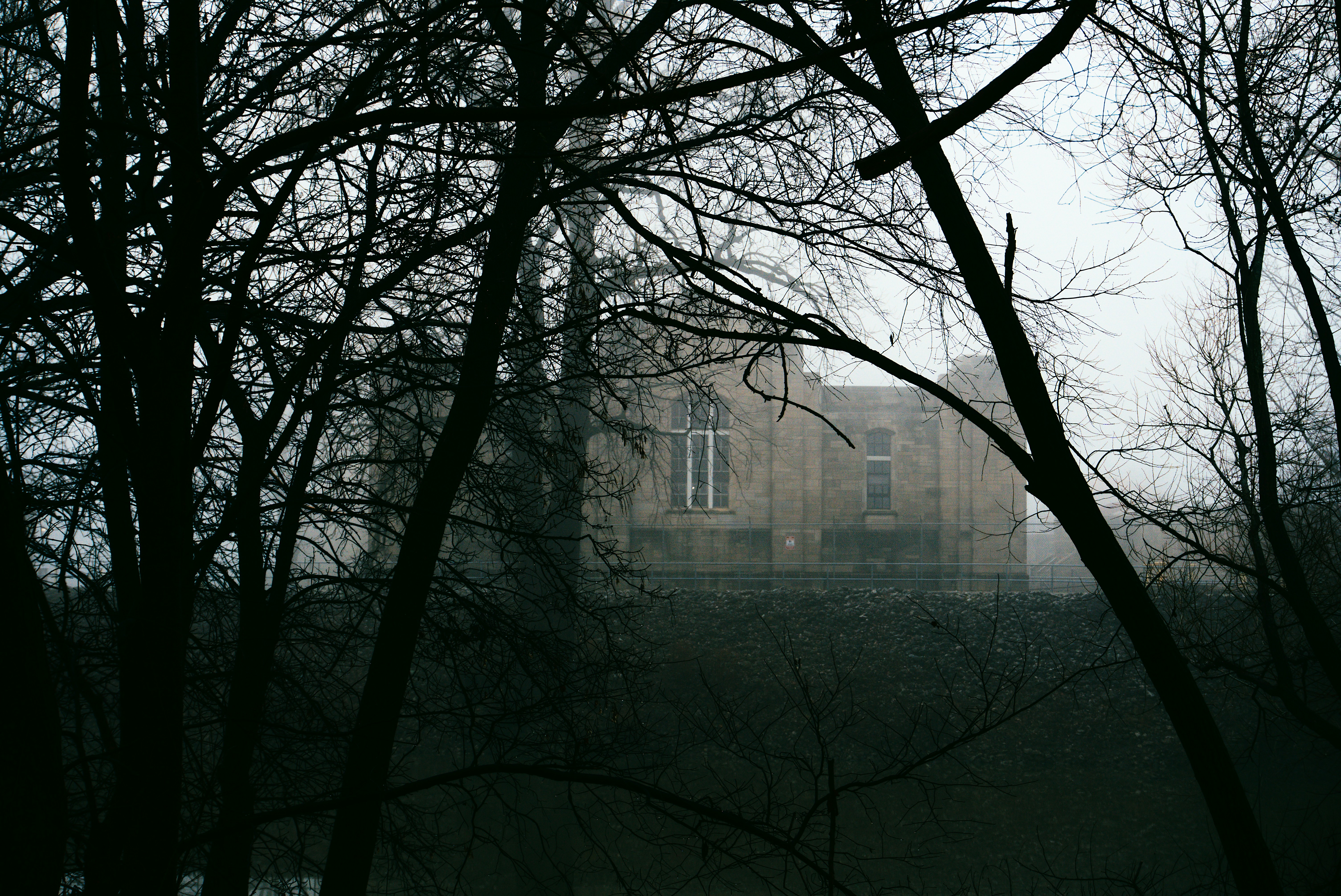 Photo by mrgreatheart