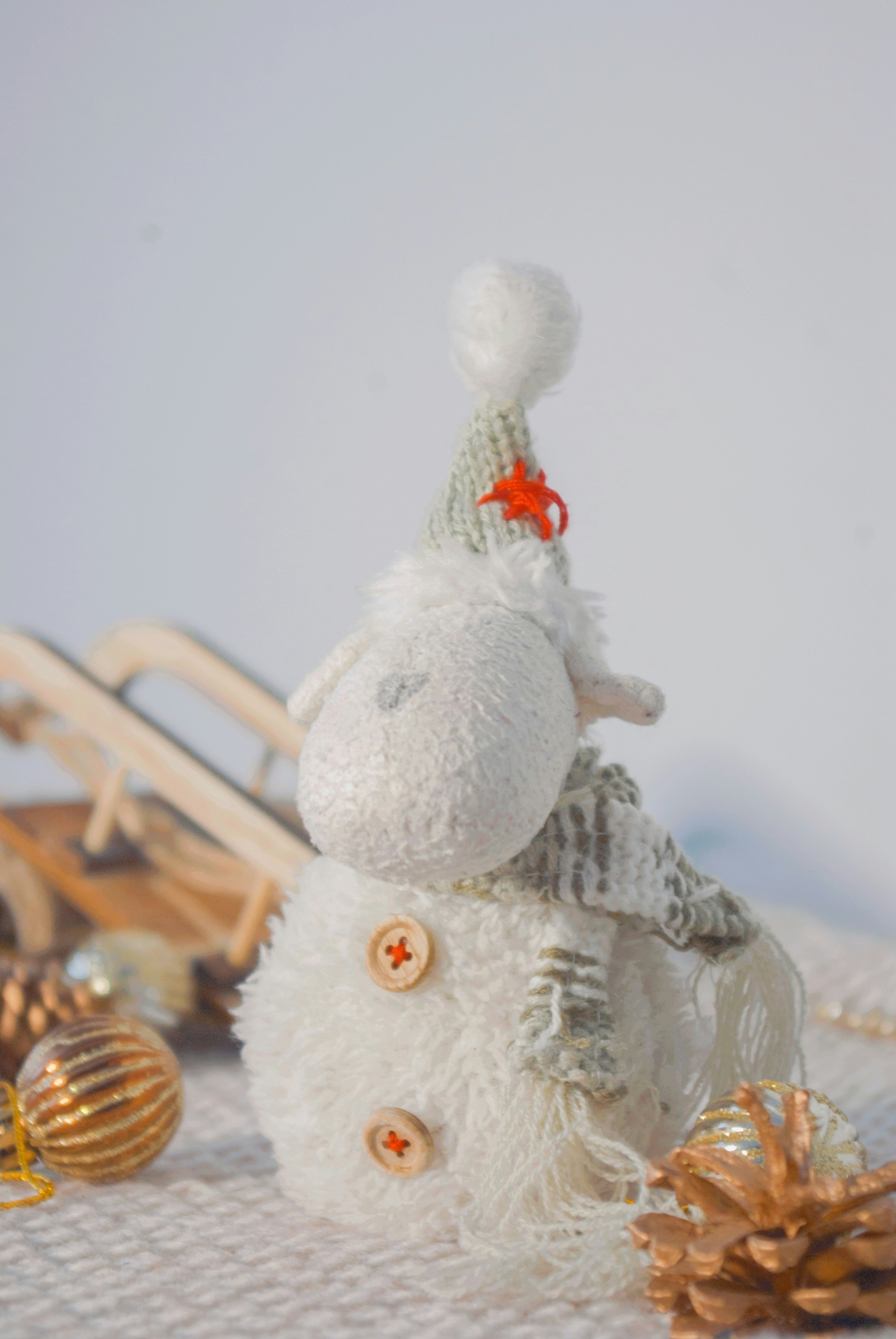 Photo by moonmoons_days