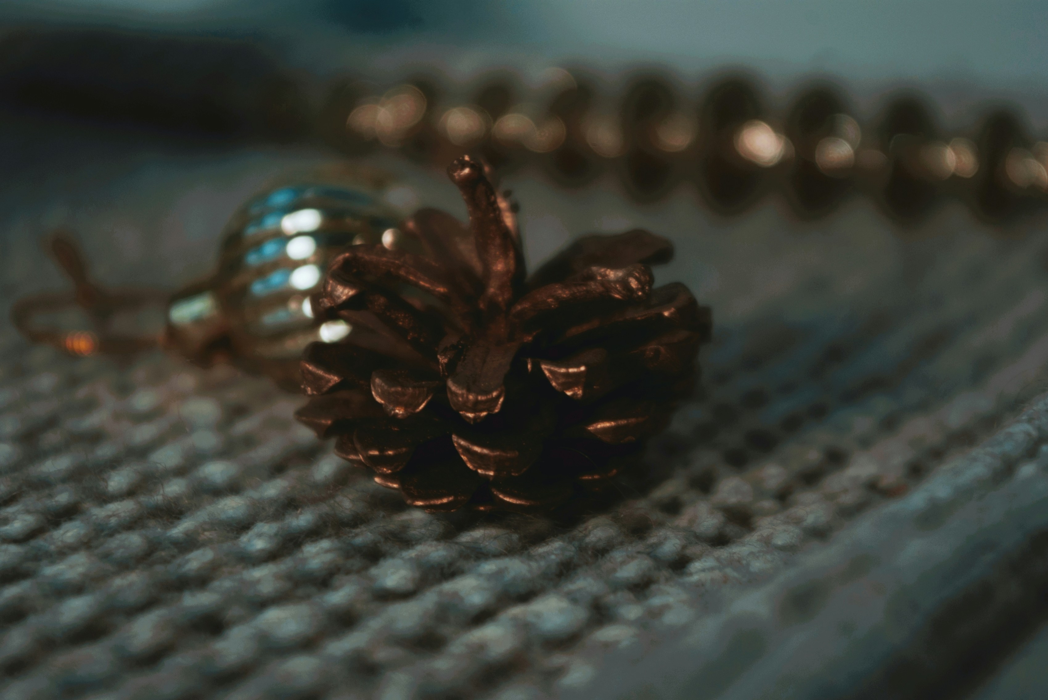 Photo by moonmoons_days