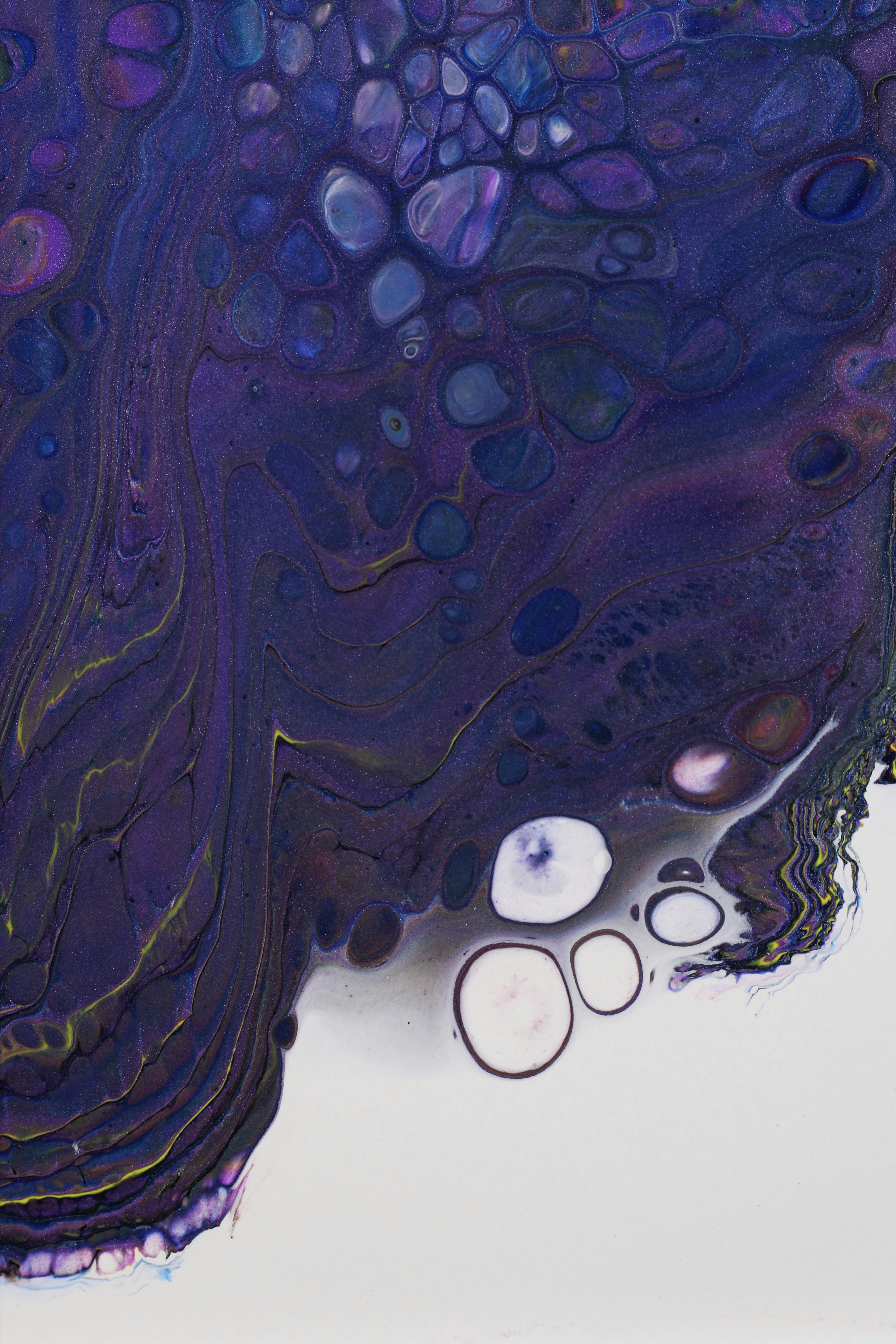 Photo by susan_wilkinson