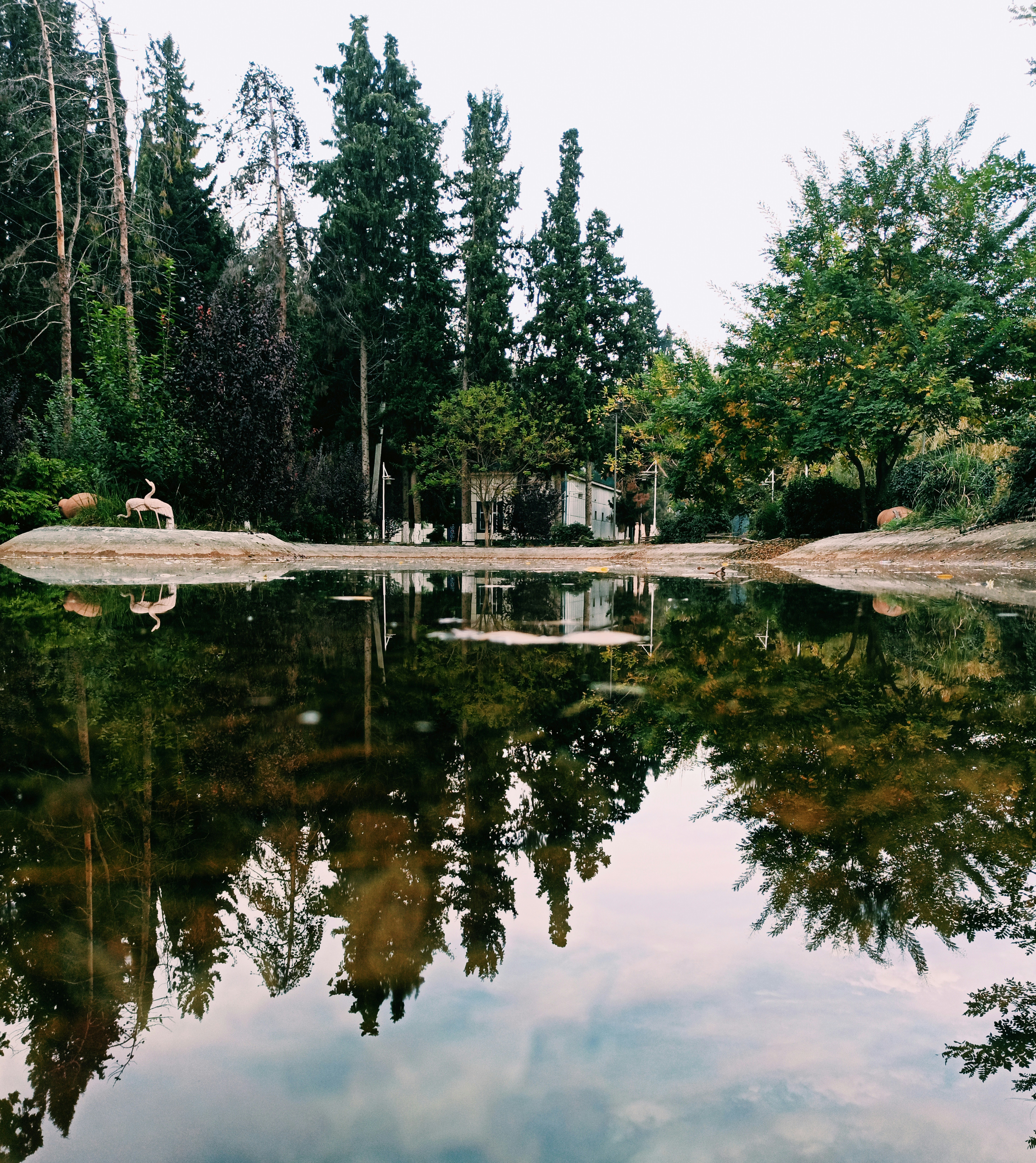 Photo by theqafqaz