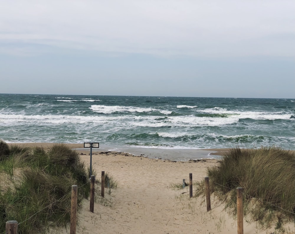 a path to the beach leading to the ocean