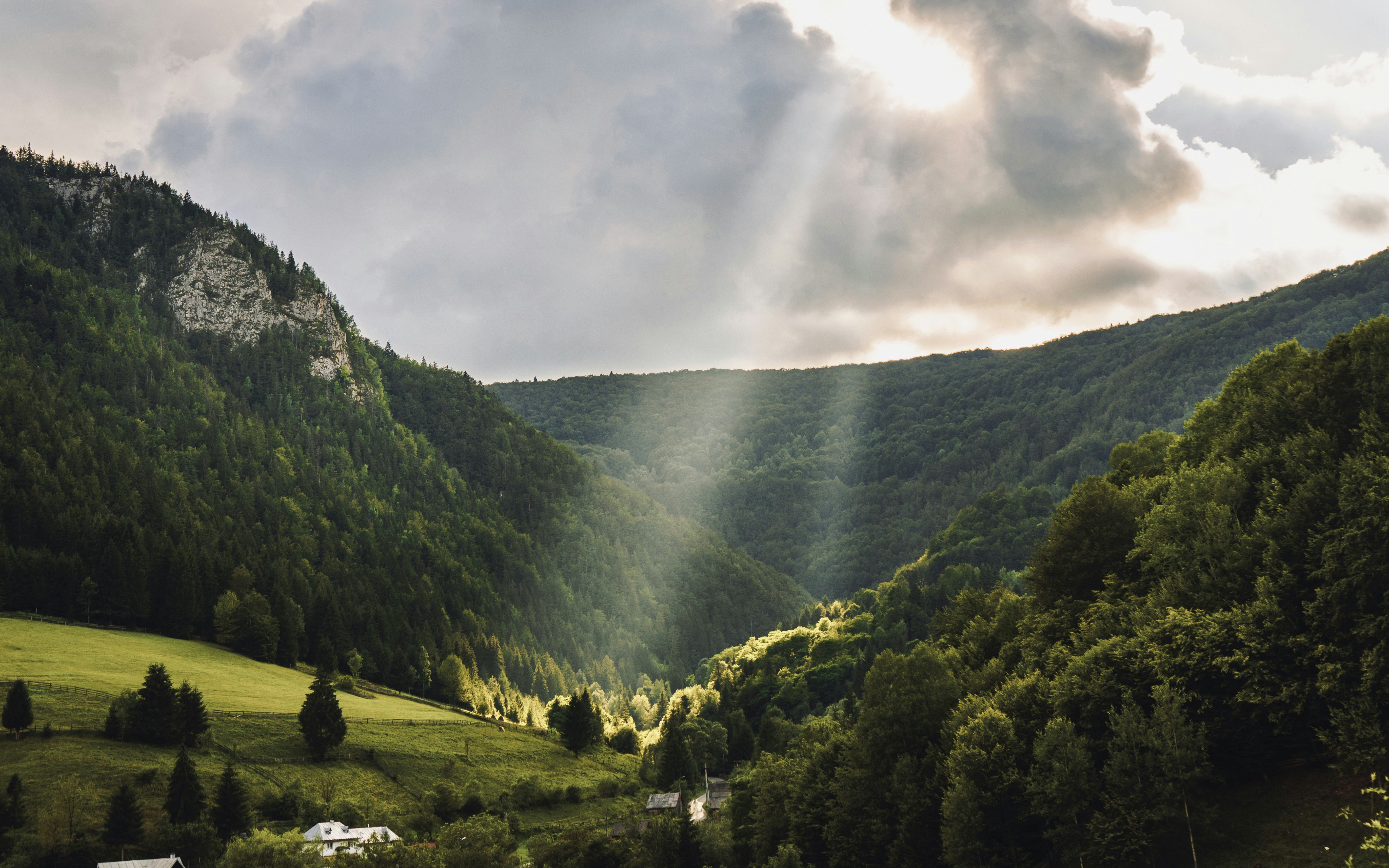 Photo by dtphotography