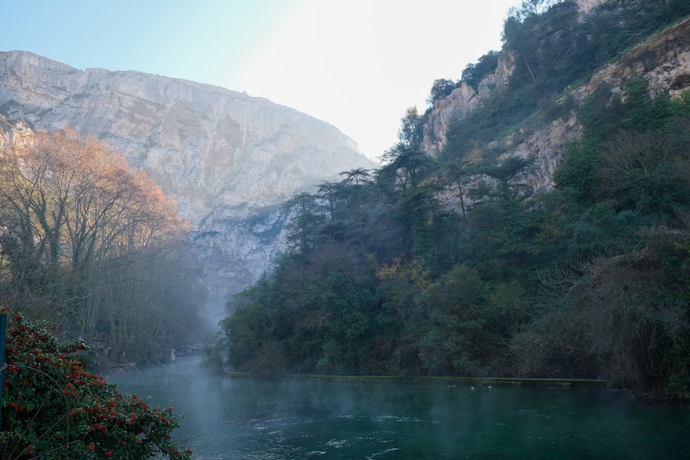 a body of water surrounded by mountains and trees