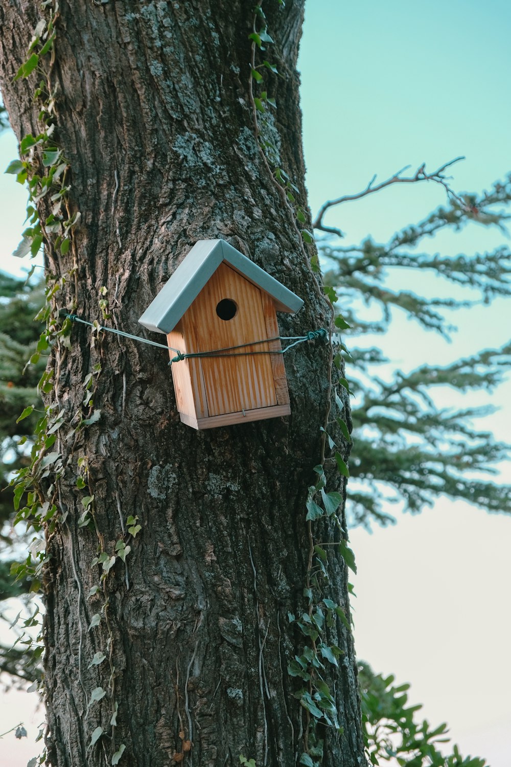 a birdhouse attached to a tree in a park